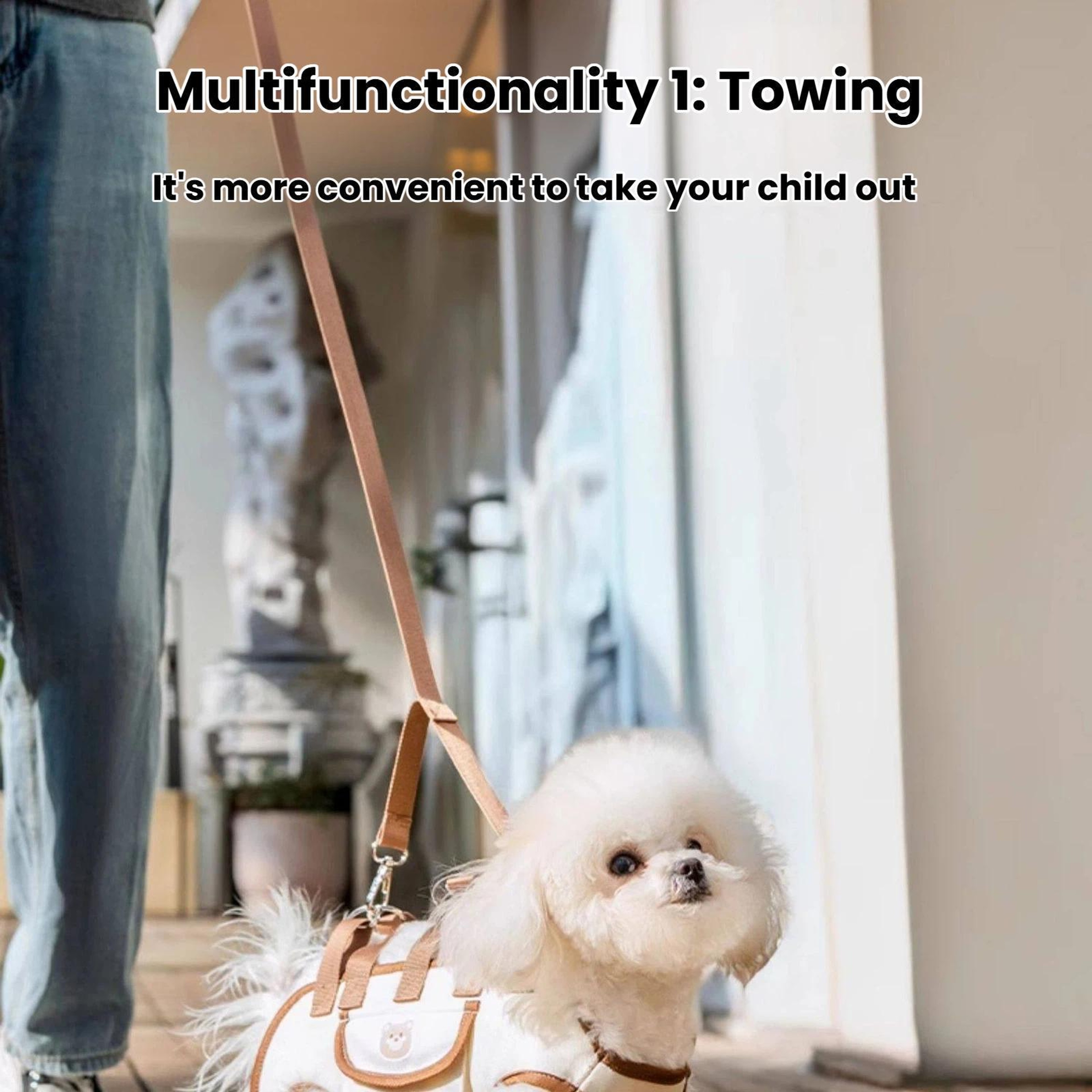 Hipipet Portable Pet Carrier Bag Crossbody Shoulder Sling For Small Cats And Dogs 5
