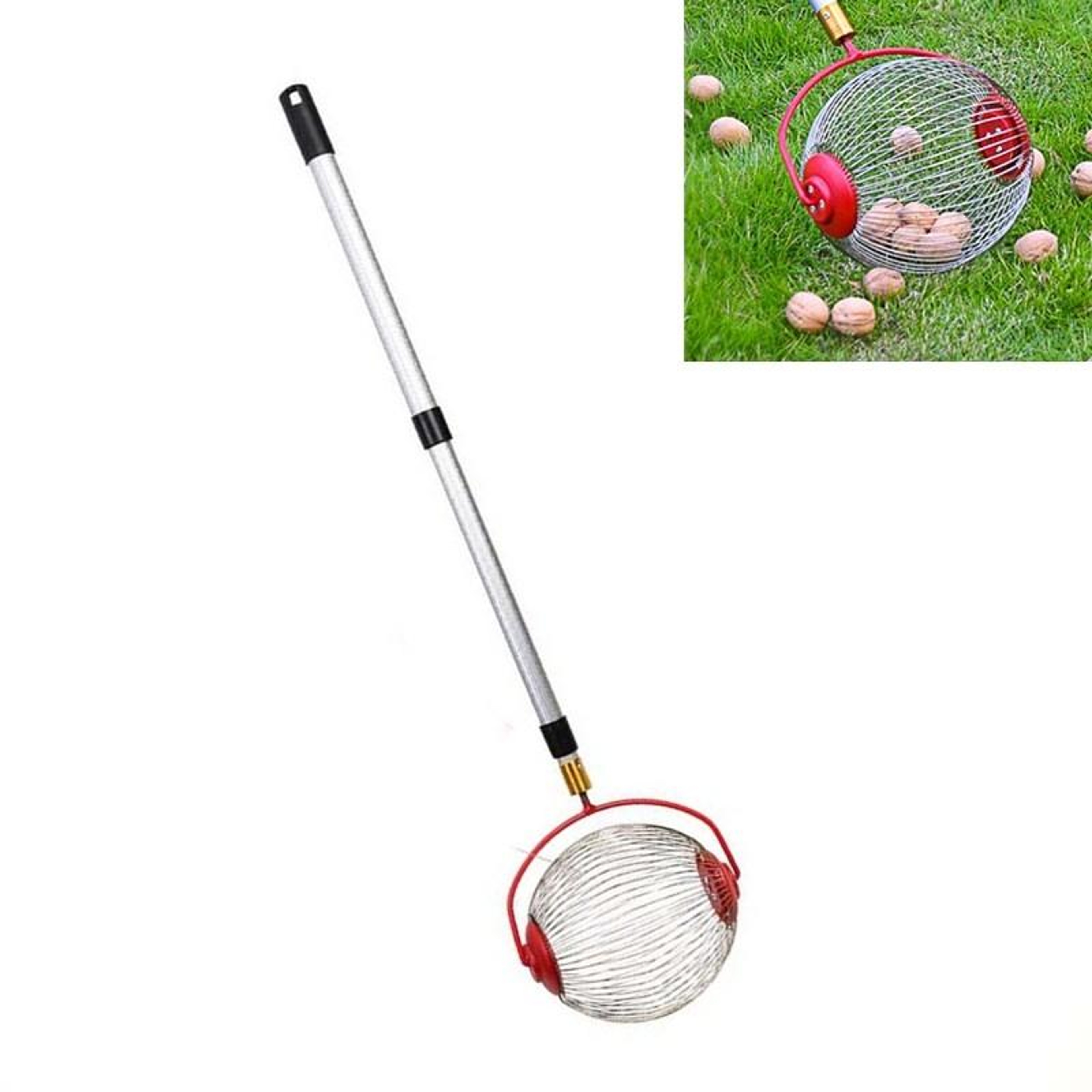 Telescopic Nut Picker Tool Rolling Fruit Picker Roller For Walnuts Chestnuts And Garden Harvesting 9