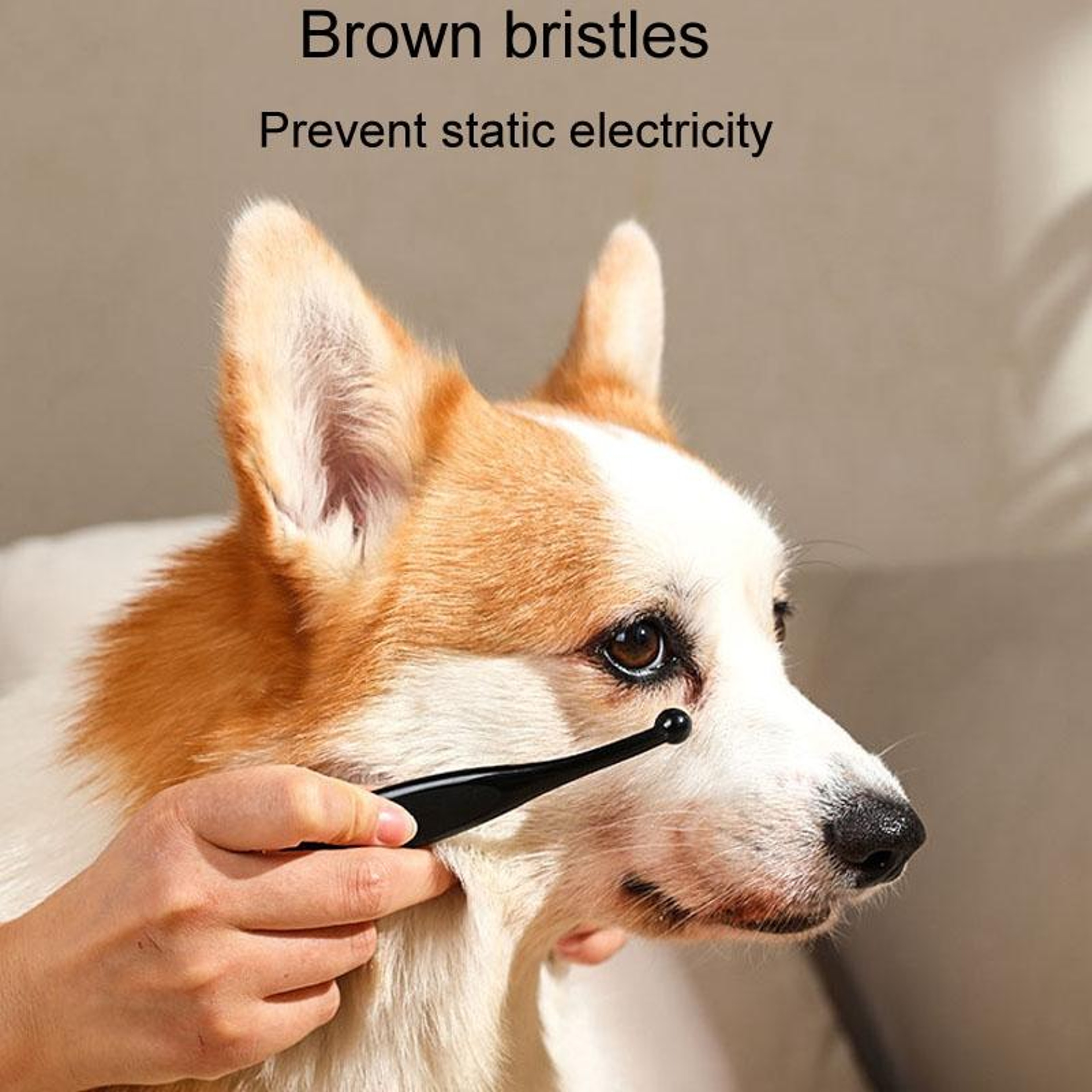 Pet Eye Cleaning Brush Soft Tear Stain Remover for Dogs and Cats Grooming Tool – view 7