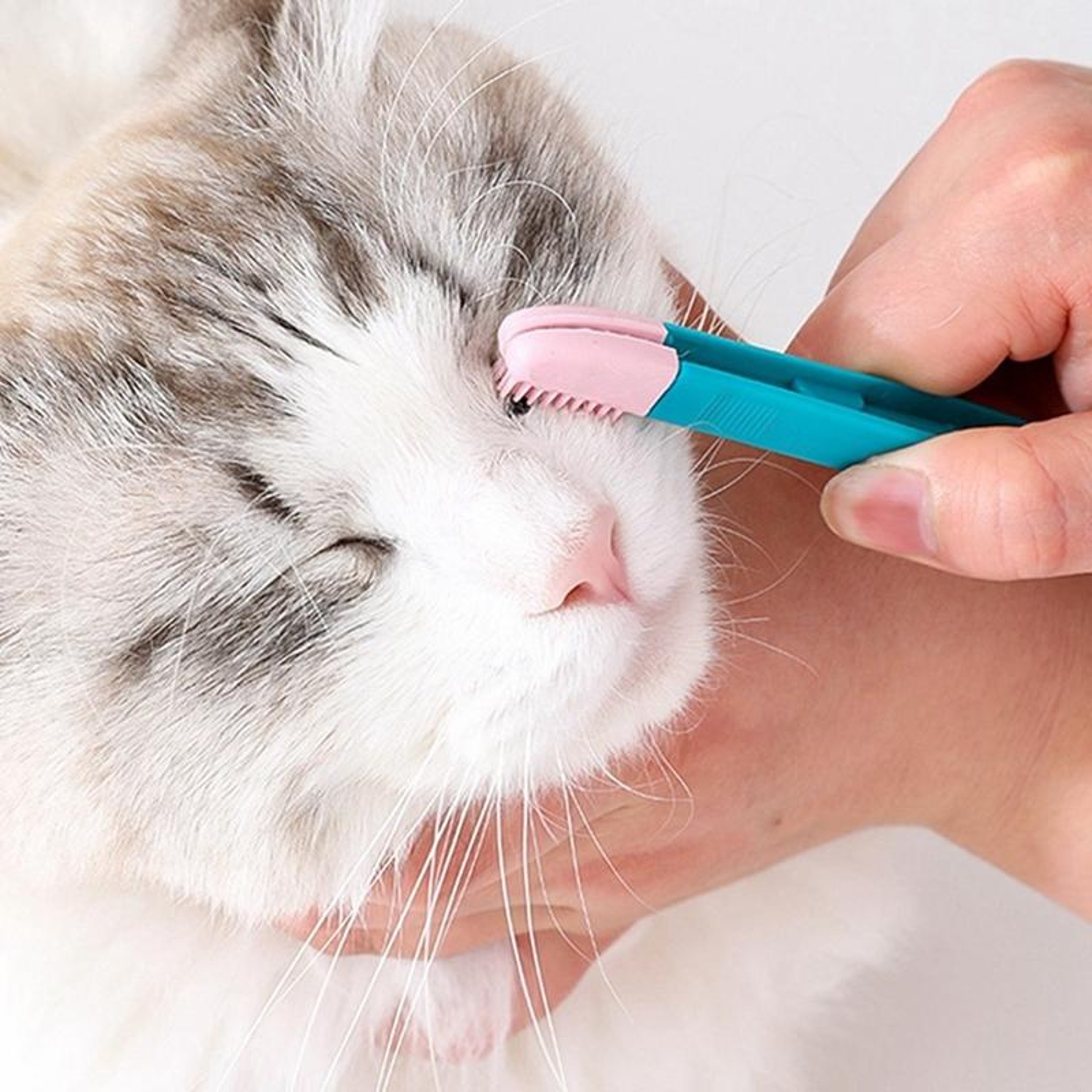 Cat Eye Brush Pet Grooming Tool With Eye Cleaner And Hair Knot Remover 5