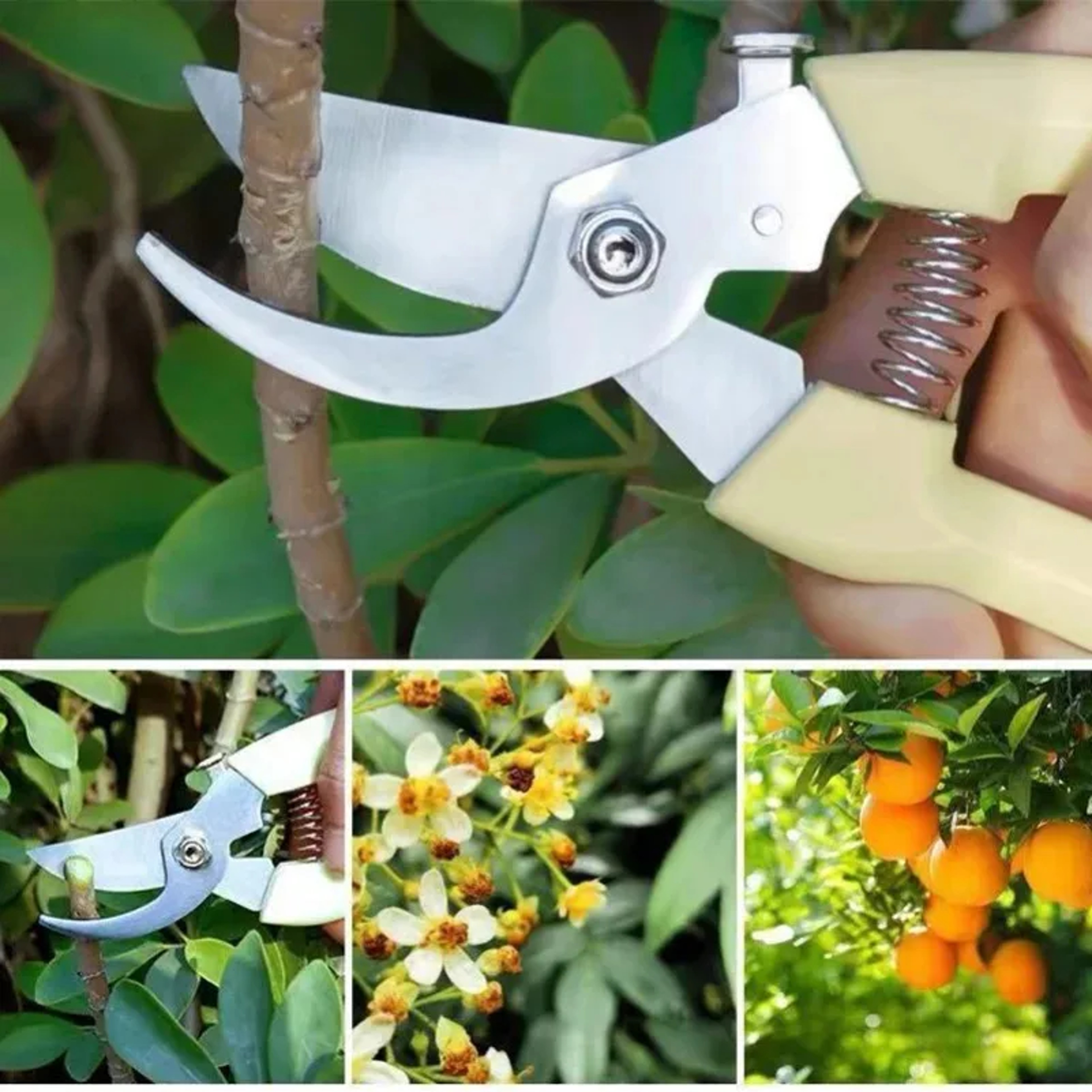 Professional Pruning Shears For Garden Fruit Trees  Precision Plant Trimming 5
