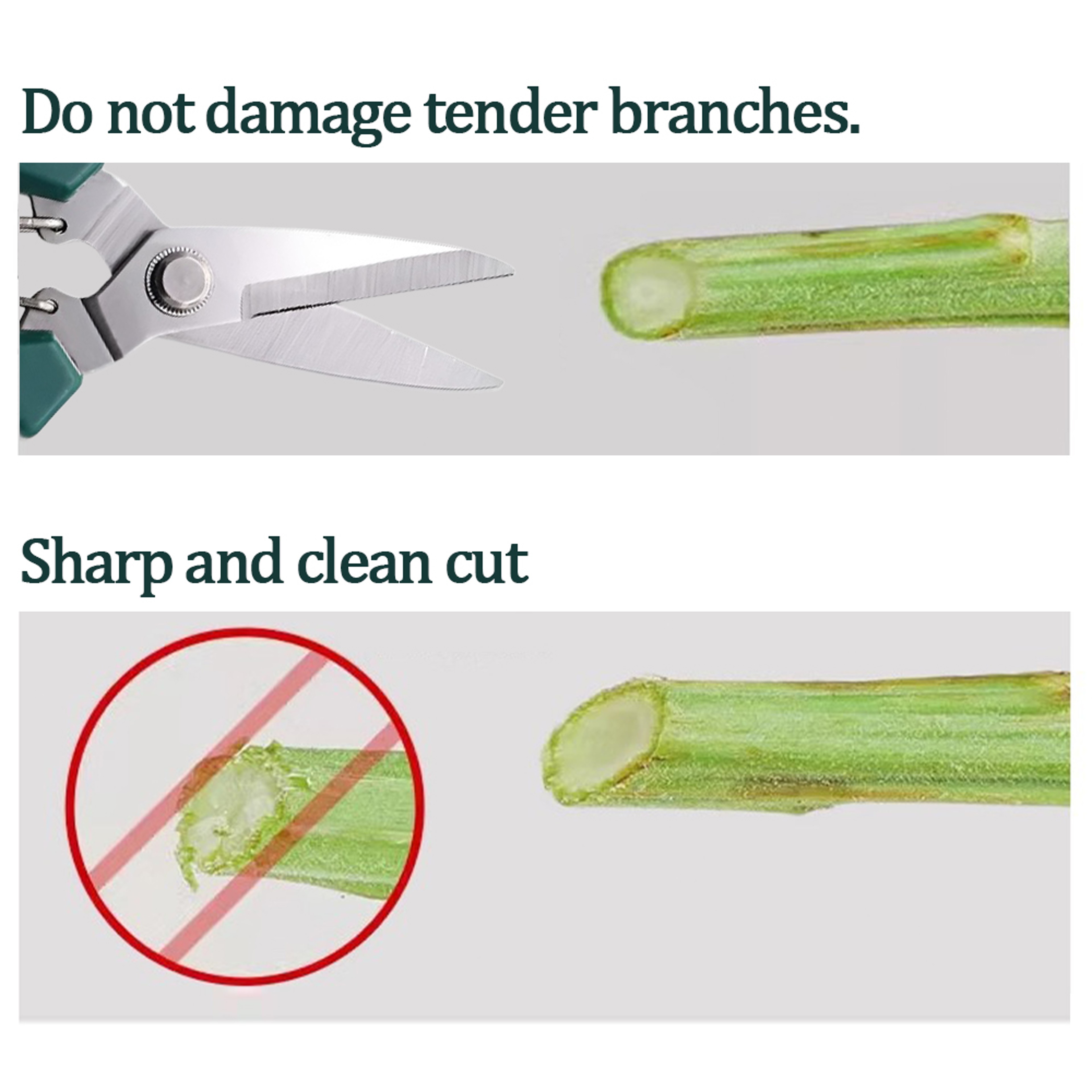 Precision Stainless Steel Pruning Shears for Bonsai, Garden & Household Trimming – view 4