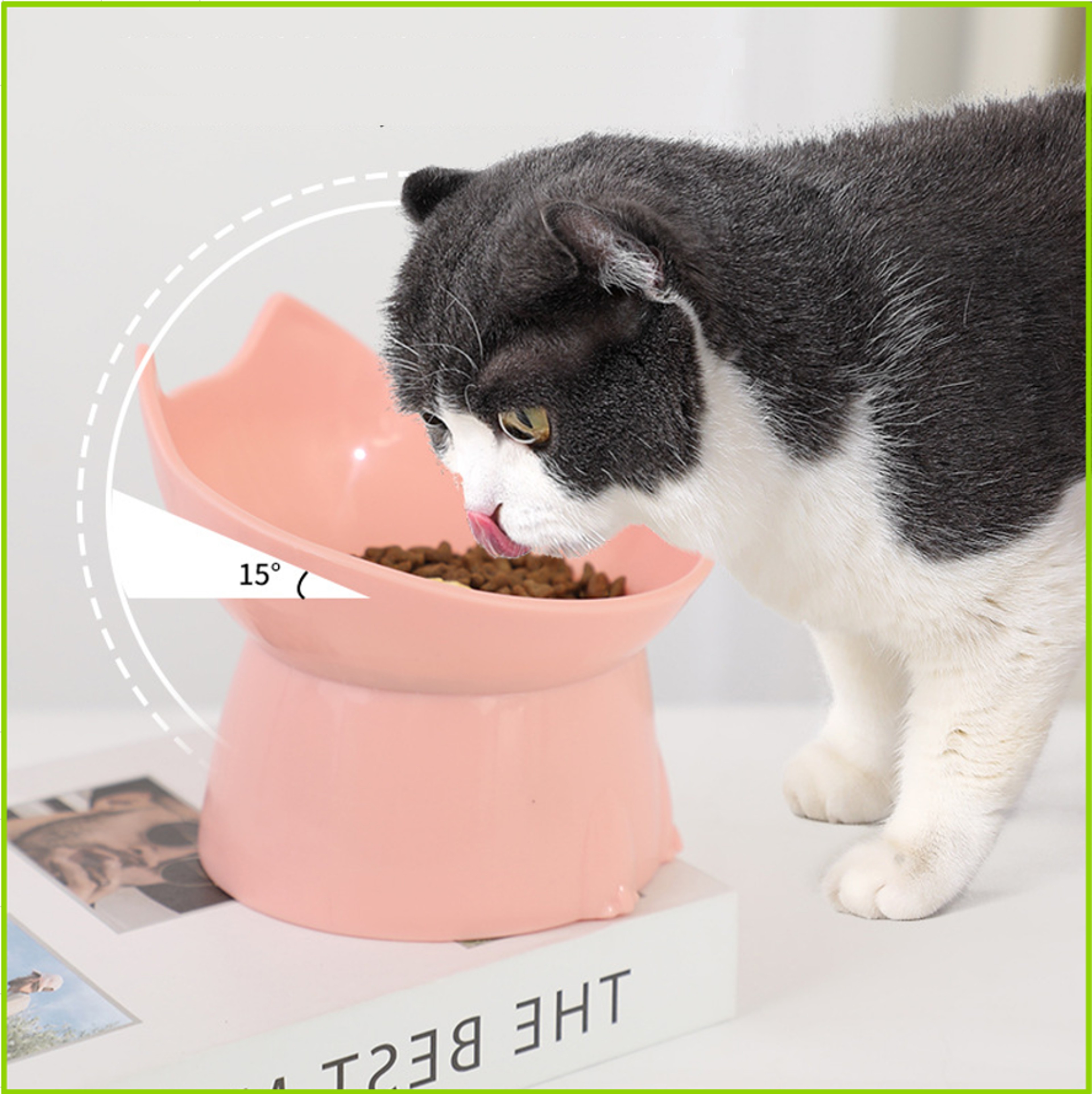 Ergonomic Raised Pet Bowl With Neck Protection Anti Overturning Elevated Cat Bowl 0