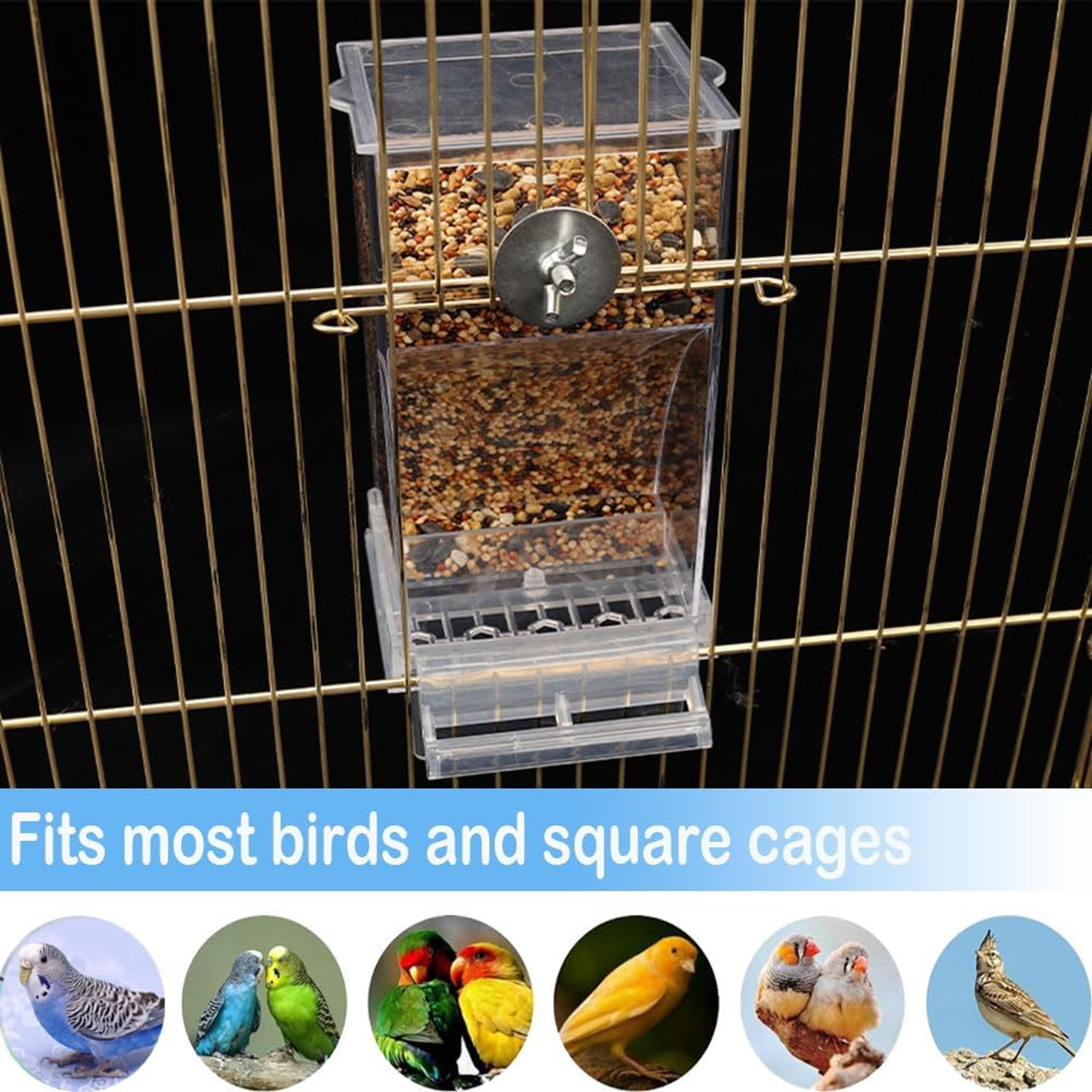 No Mess Transparent Automatic Bird Feeder For Parrot  Small Birds Cage 2