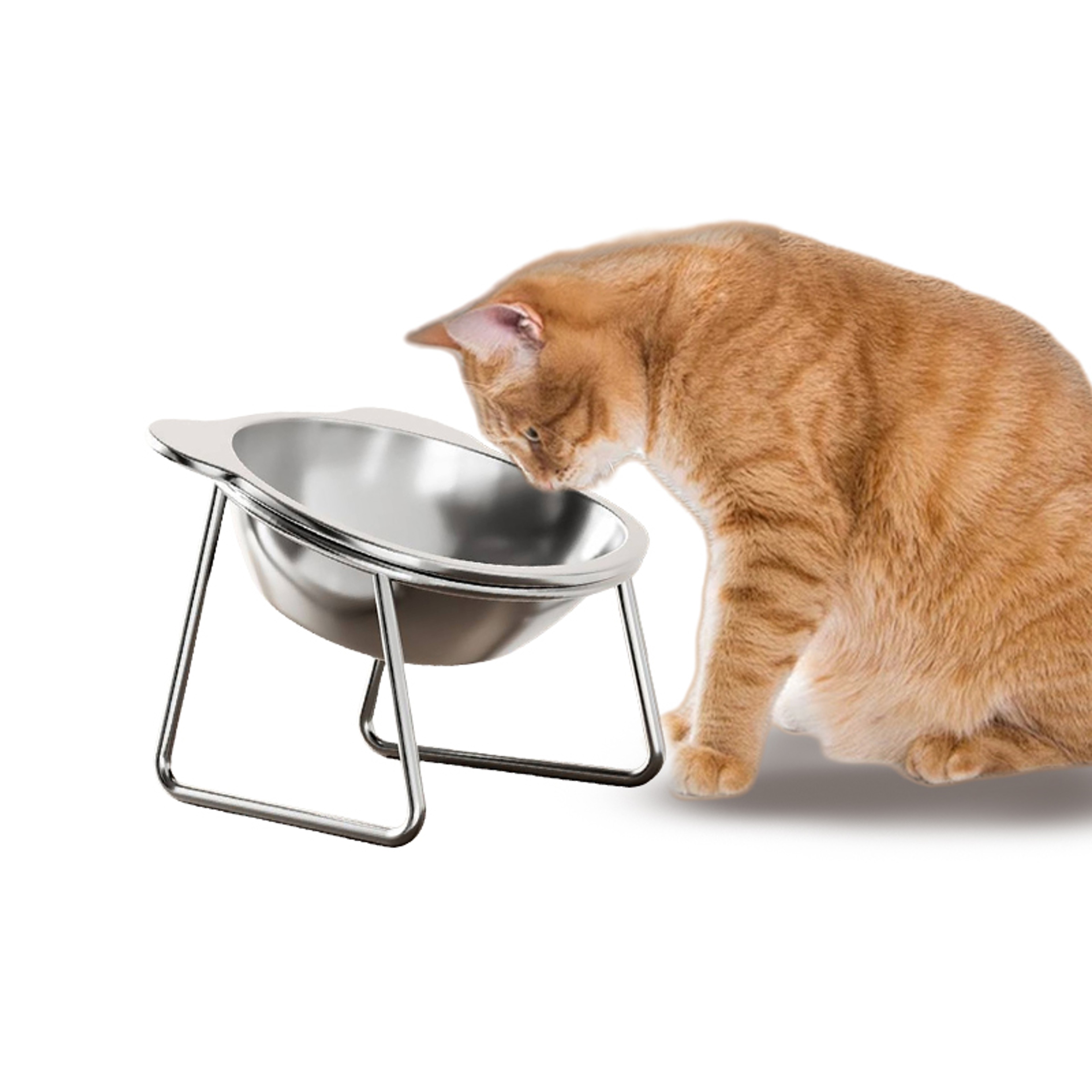Elevated Stainless Steel Cat Bowl Set With Tilted Stand For Comfortable Feeding 0