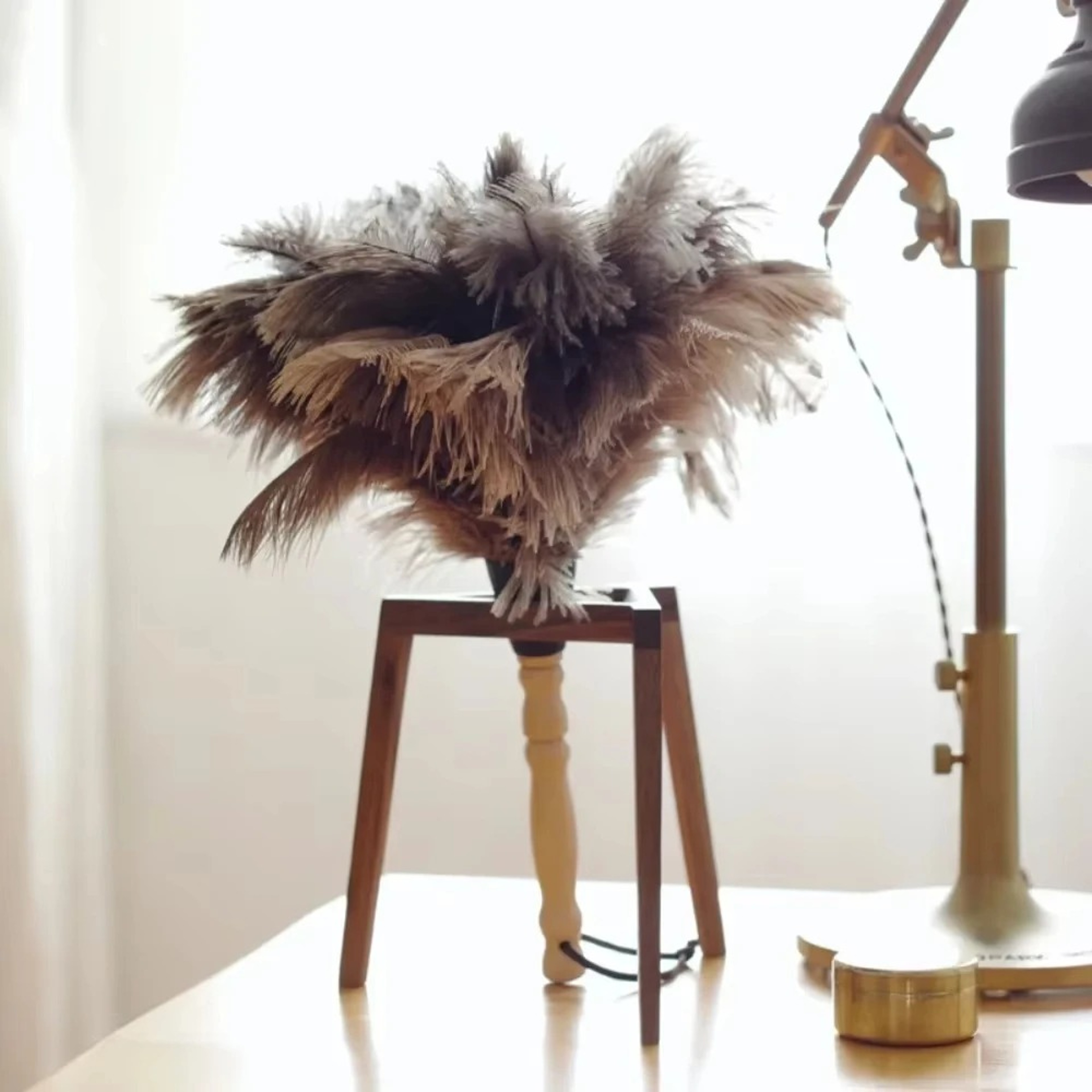 SoftSweep Ostrich Feather Duster with Wooden Handle Ostrich Feather Duster, Anti Static Duster, Dusting Brush – view 5