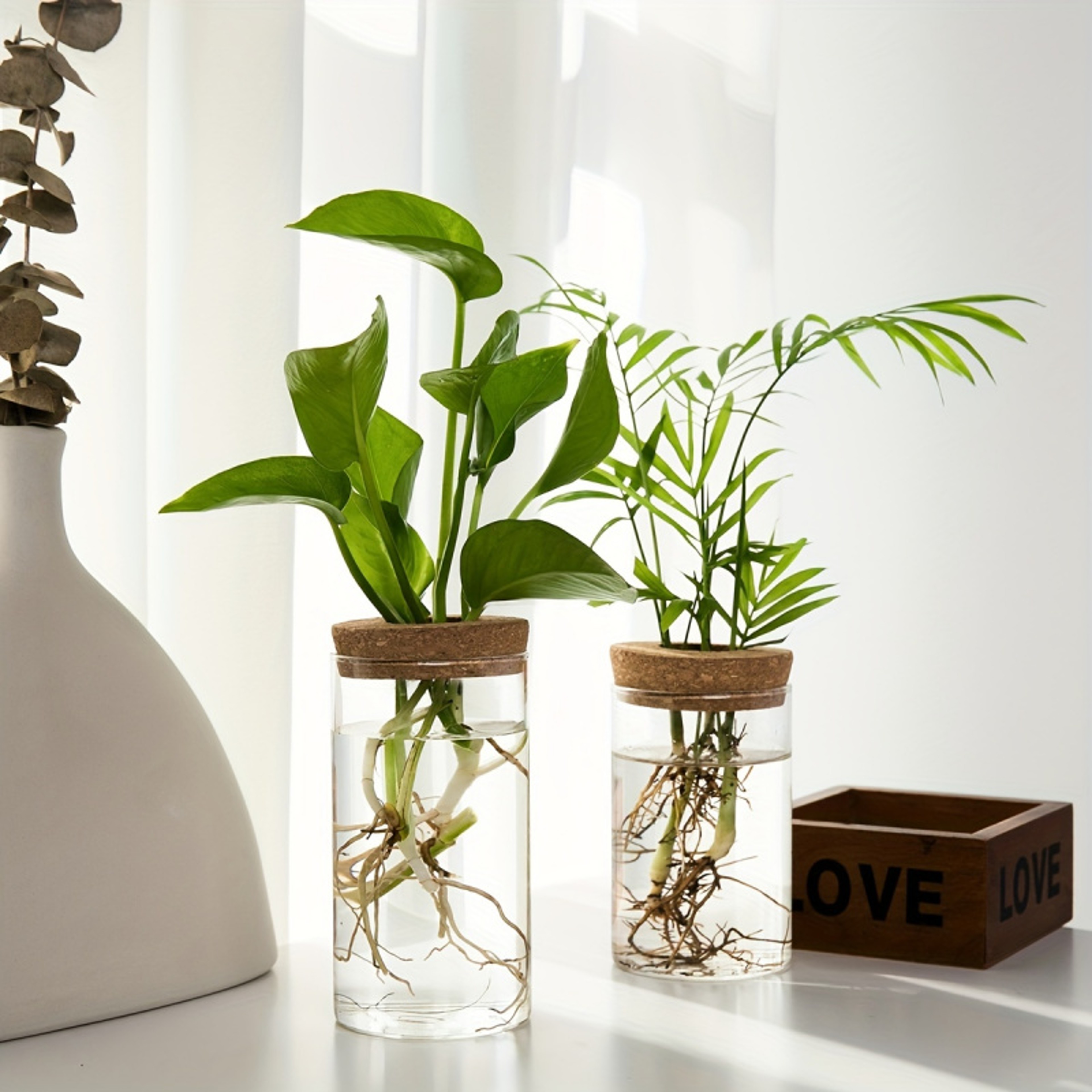 Desktop Hydroponics Glass Planter Plant Propagation Station Bud Vase Vase For Home Decoration 2