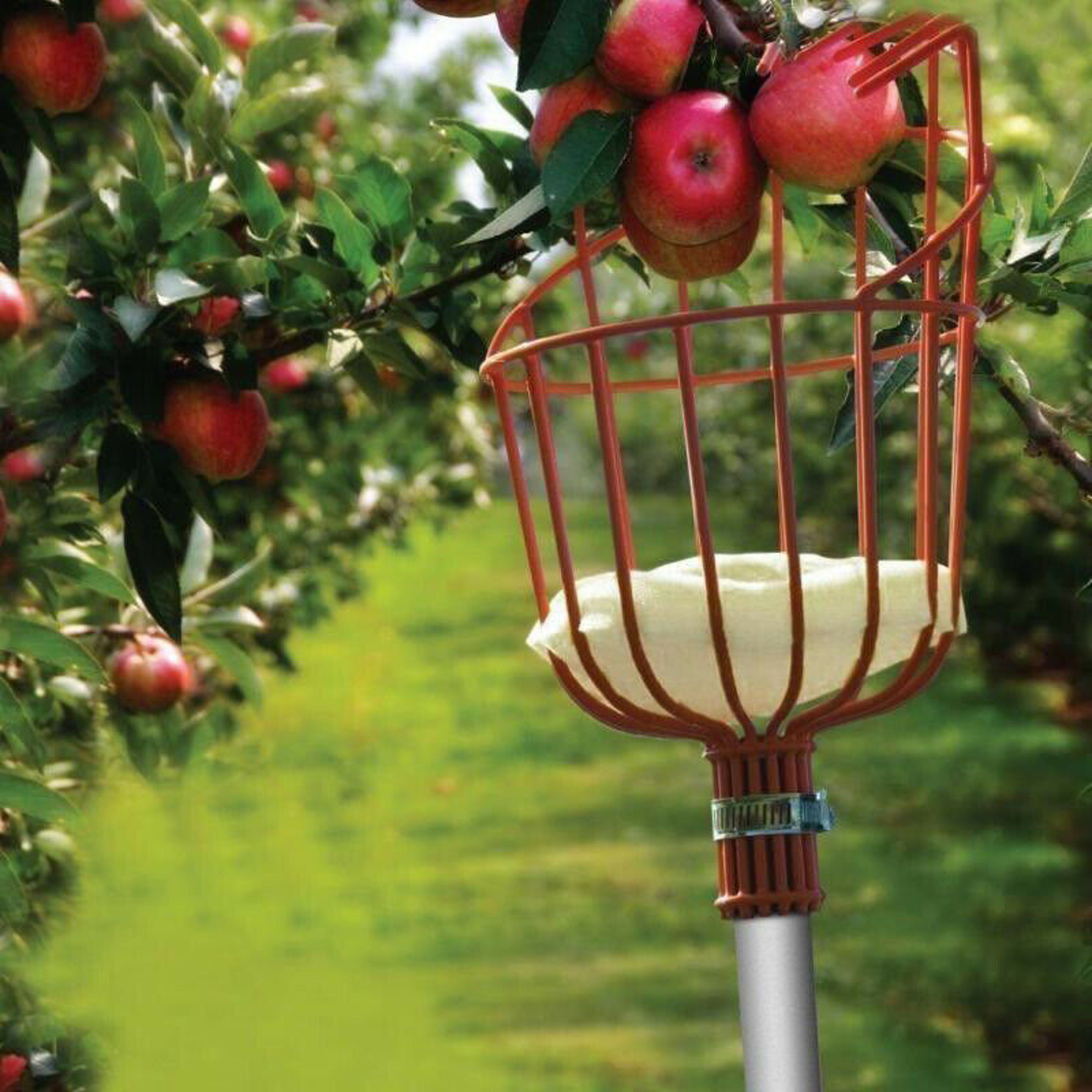 Telescopic Fruit Picker Tool with Adjustable Pole for Tree and Garden Harvesting – view 3