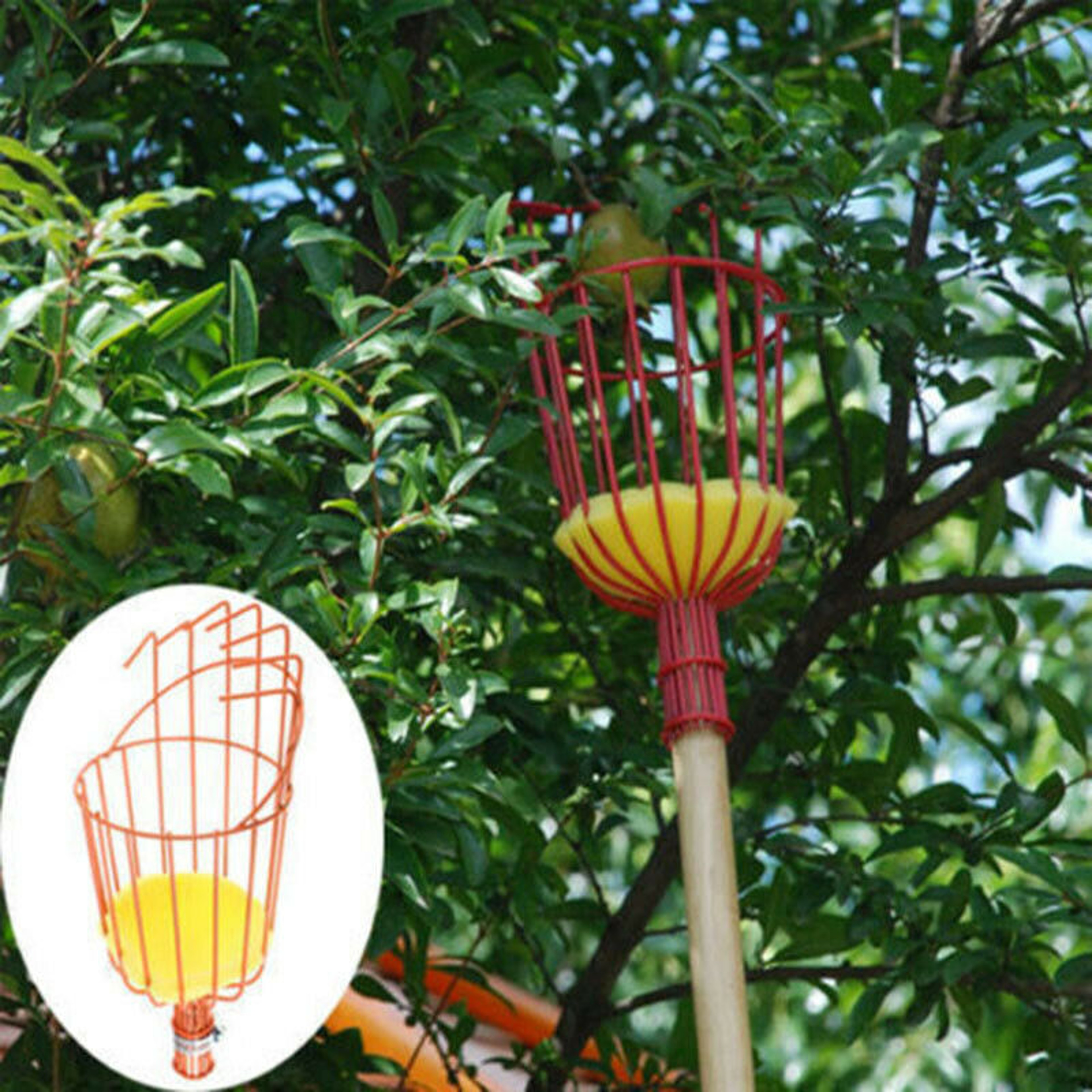 Telescopic Fruit Picker Tool with Adjustable Pole for Tree and Garden Harvesting – view 4