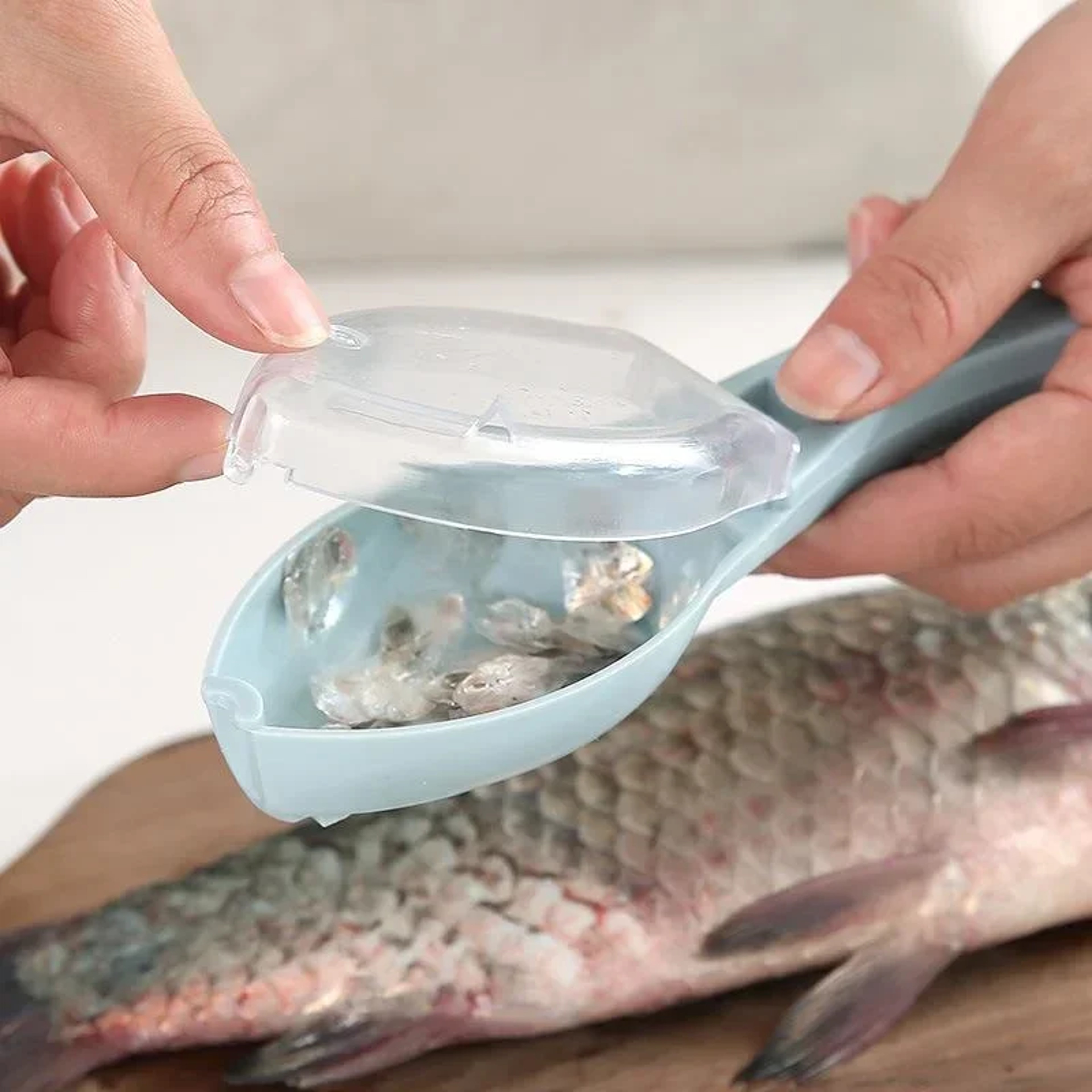 Clean Catch Fish Scale Remover Tool No Mess Fish Scaler & Fish Cleaning Scraper – view 5