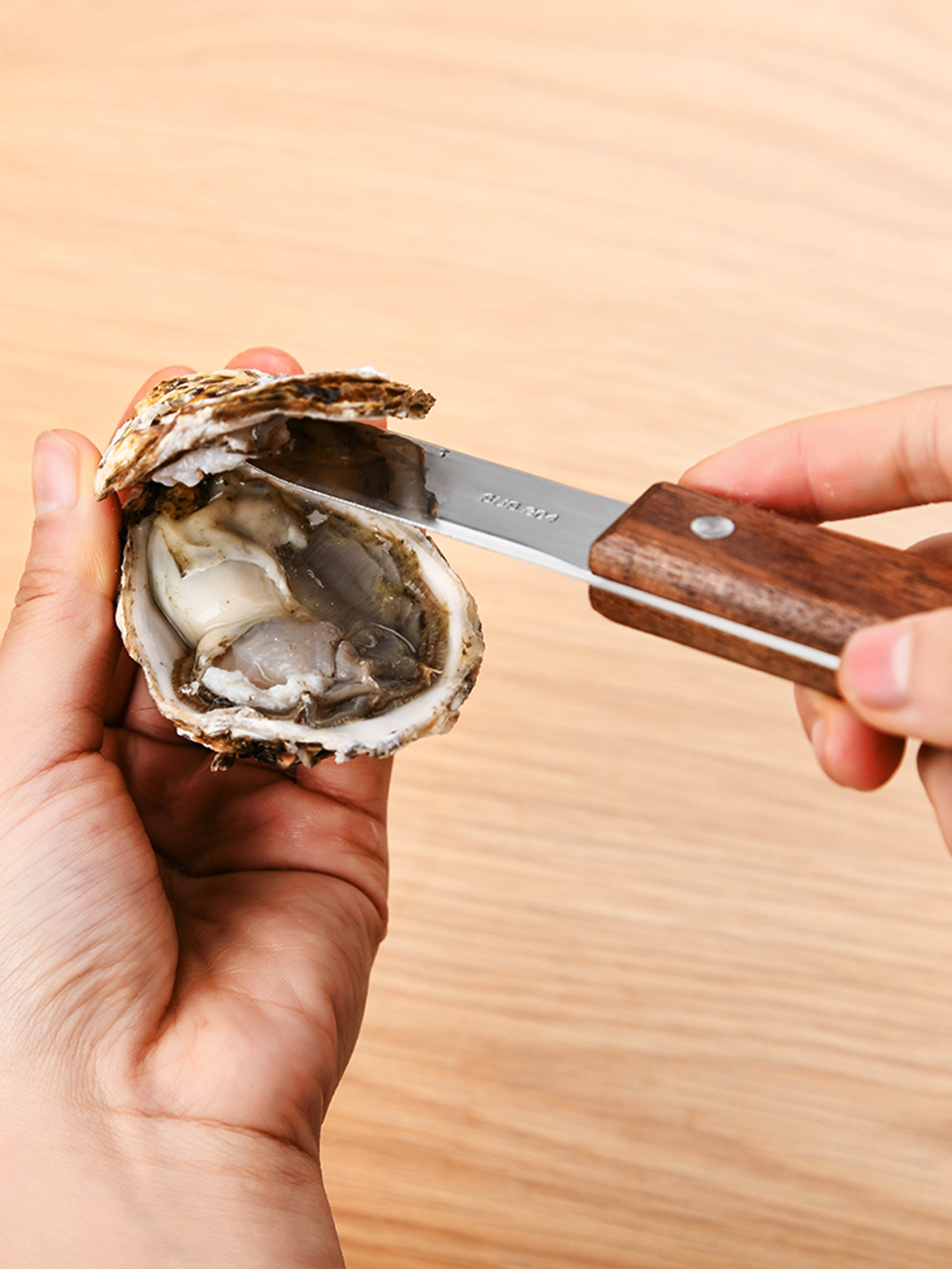 Premium Stainless Steel Oyster Knife with Wooden Handle Seafood Shucking & Scallop Pry Tool – view 5