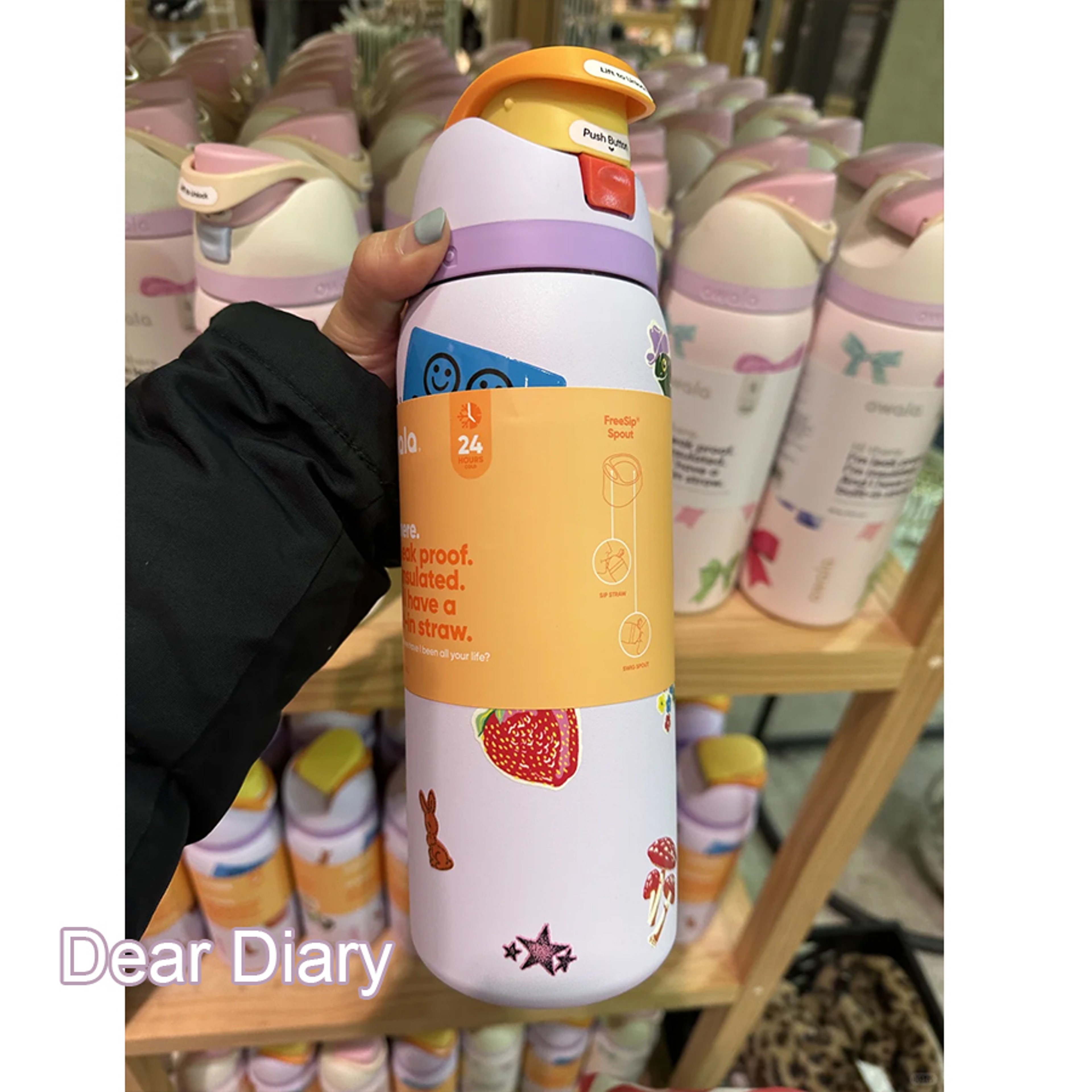 Insulated Stainless Steel Water Bottle Sports Water Bottle Great For Travel 24
