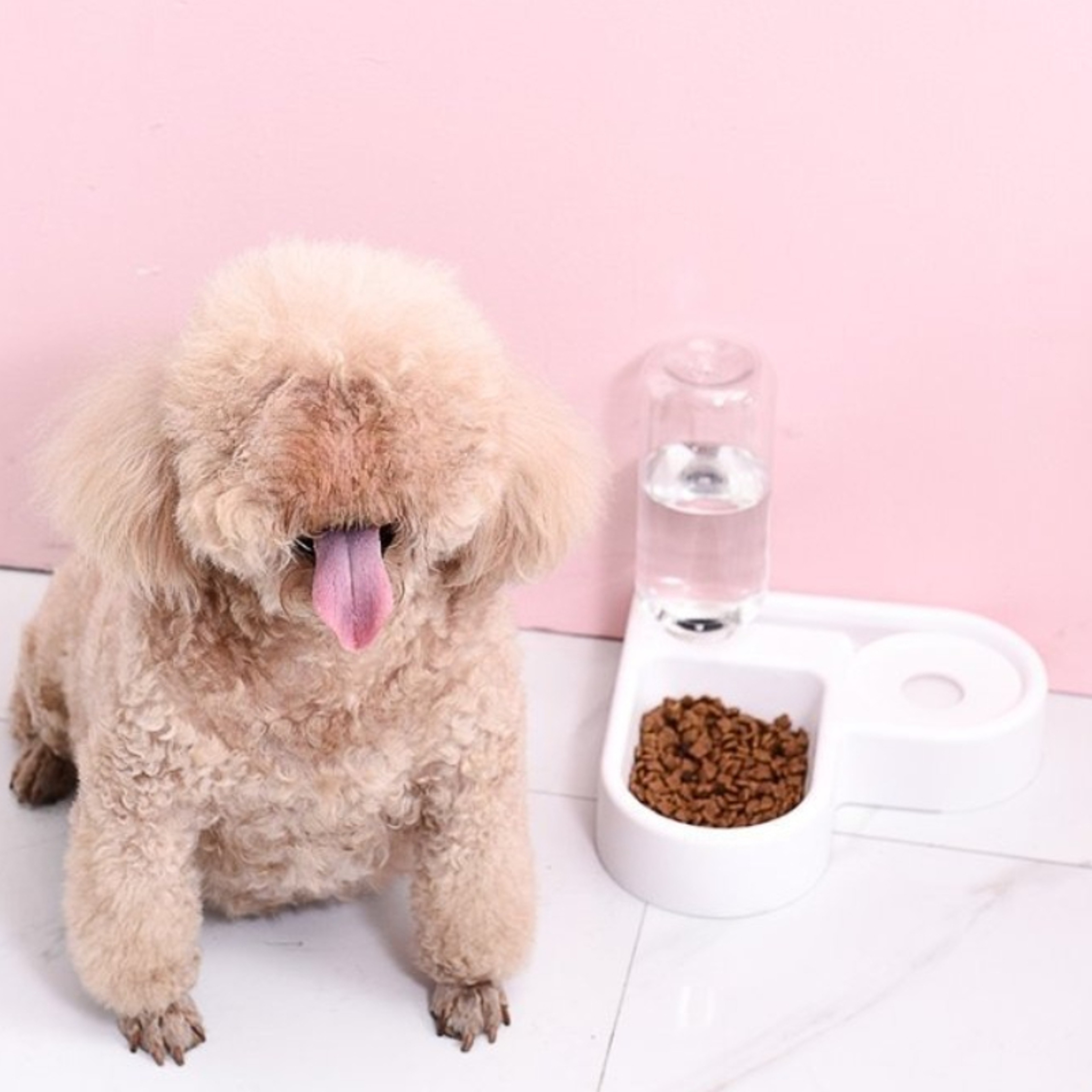 Cat and Dog Double Bowl with Automatic Water Dispenser, Anti-Tip Design for Pet Food – view 1