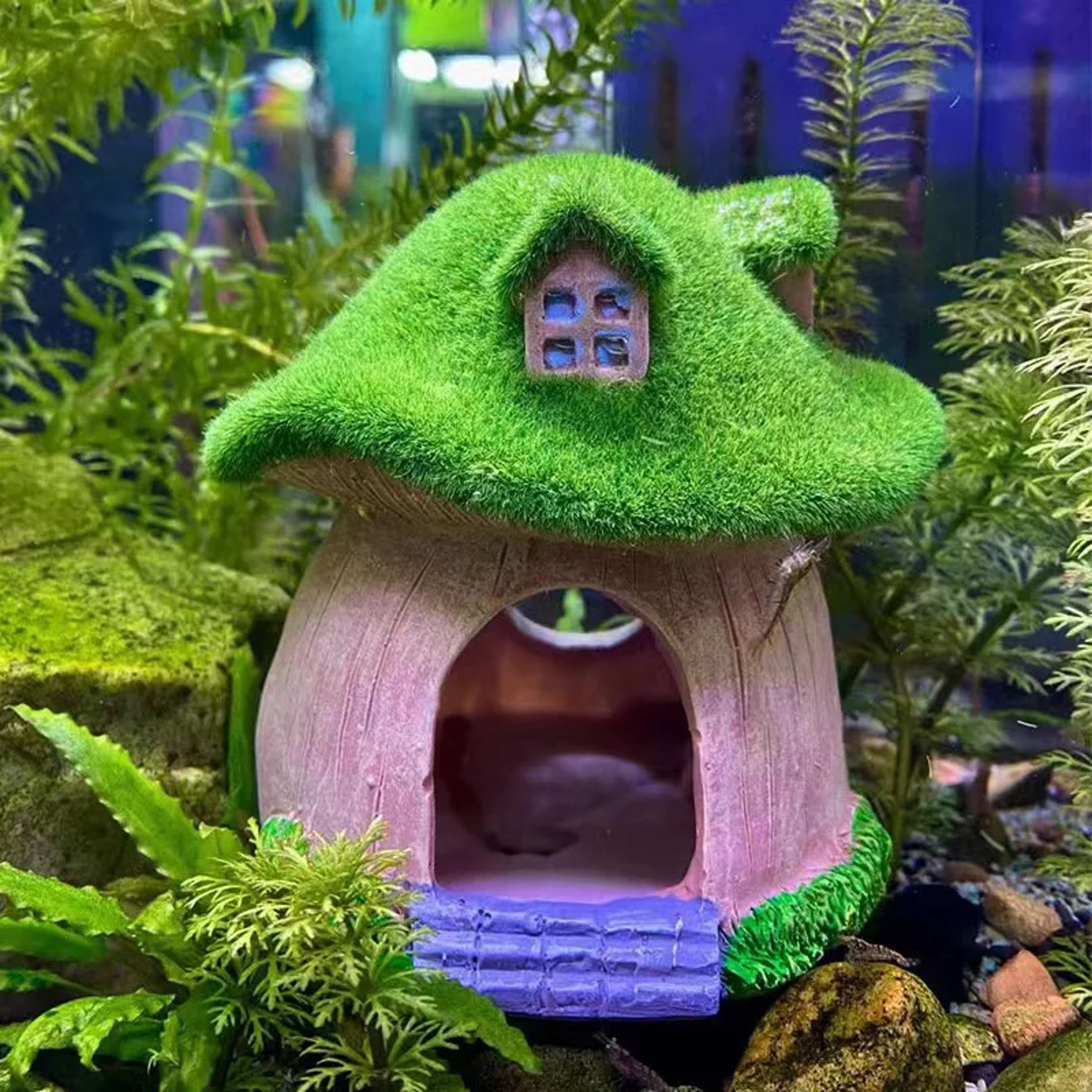 Mushroom And Moss House Ornament For Fish Shrimp Shelter Aquarium Decoration Desk Decor Landscape F 0