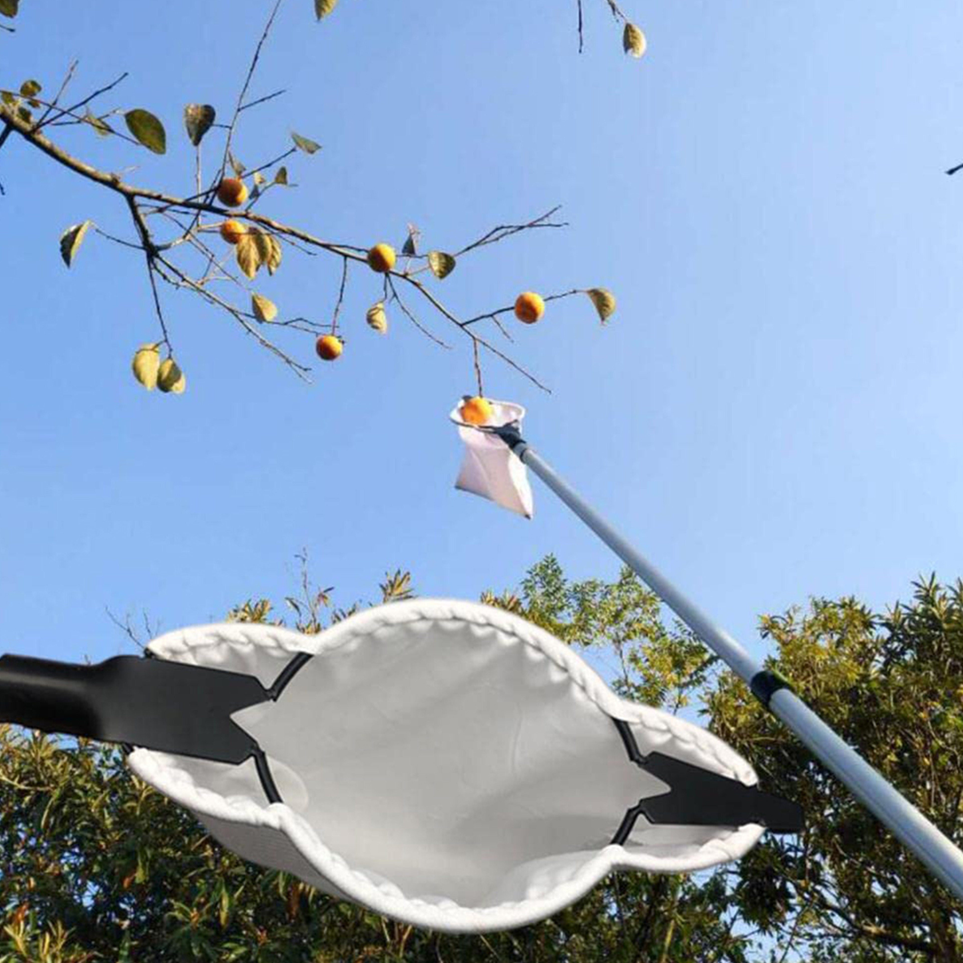 Fruit Picker Orchard with Blade, High Tree Picking Tool, Fruit Catcher Collection Pouch for Garden & Farm Supplies – view 1