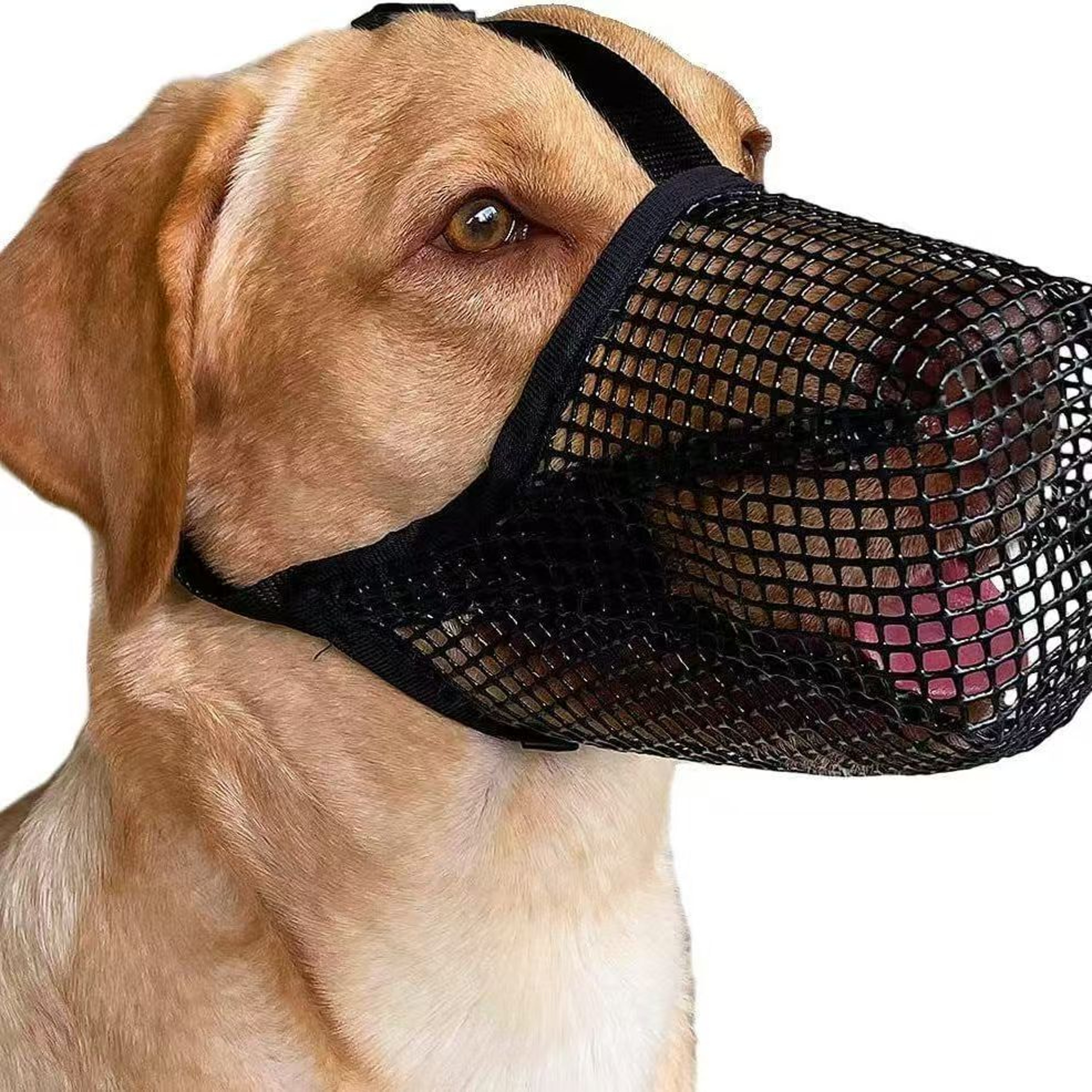 Soft Mesh Pet Dog Muzzle Adjustable AntiBark Bite Guard 0