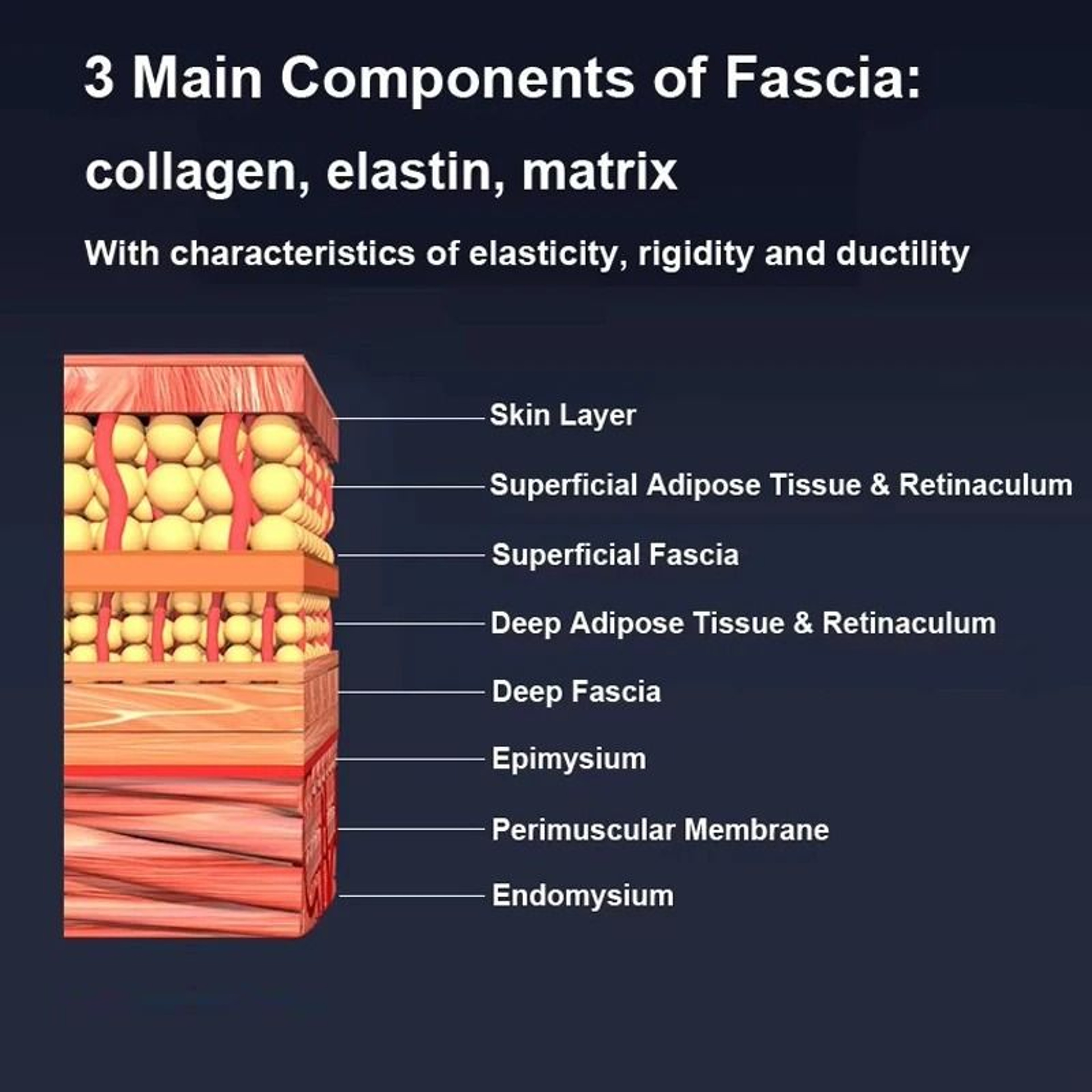 MultiFunction Heated Fascia Scraping Massager With EMS And Red Light Therapy 4