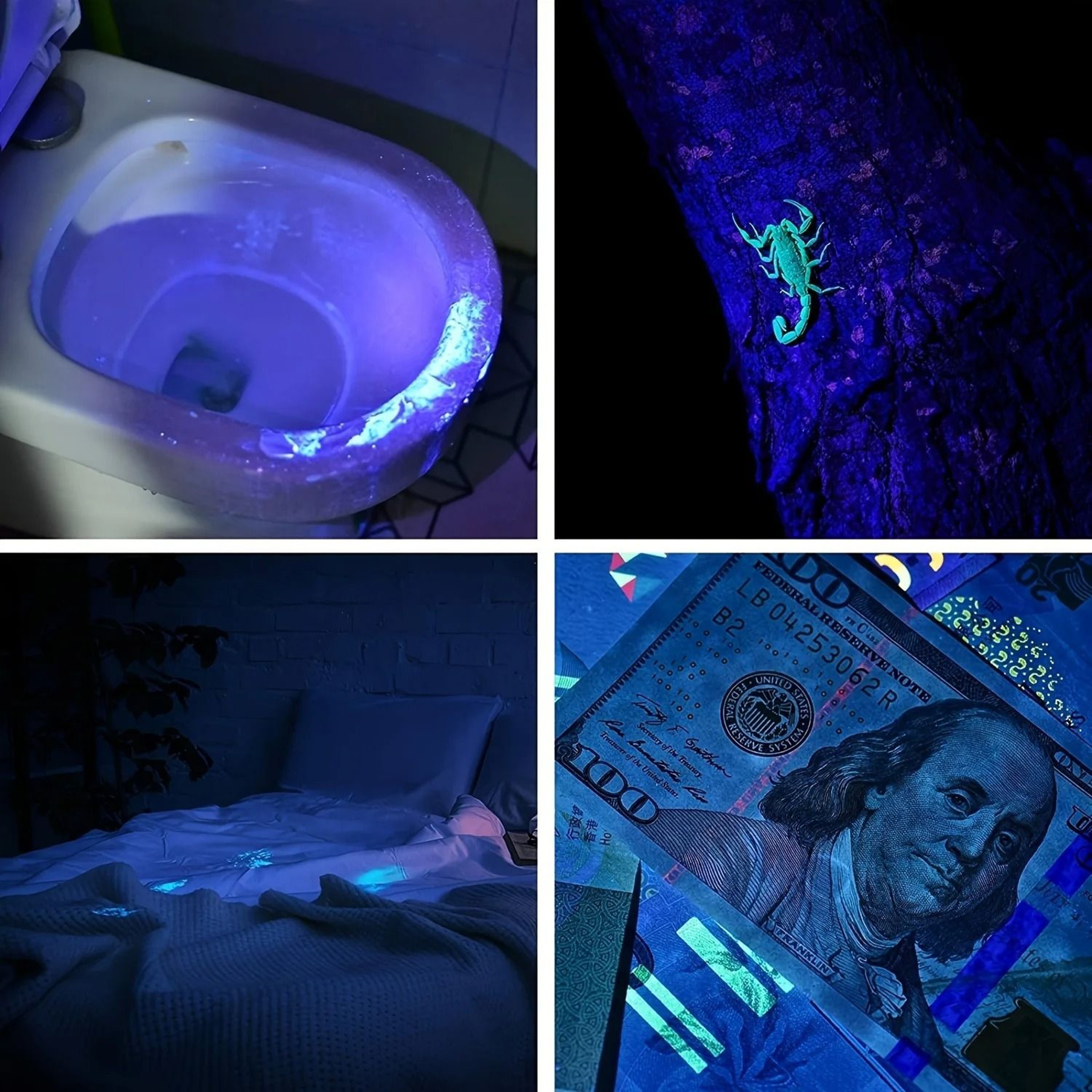 Mini UV Flashlight 365nm Rechargeable Blacklight Torch For Pets Currency And Scorpion Detection 3