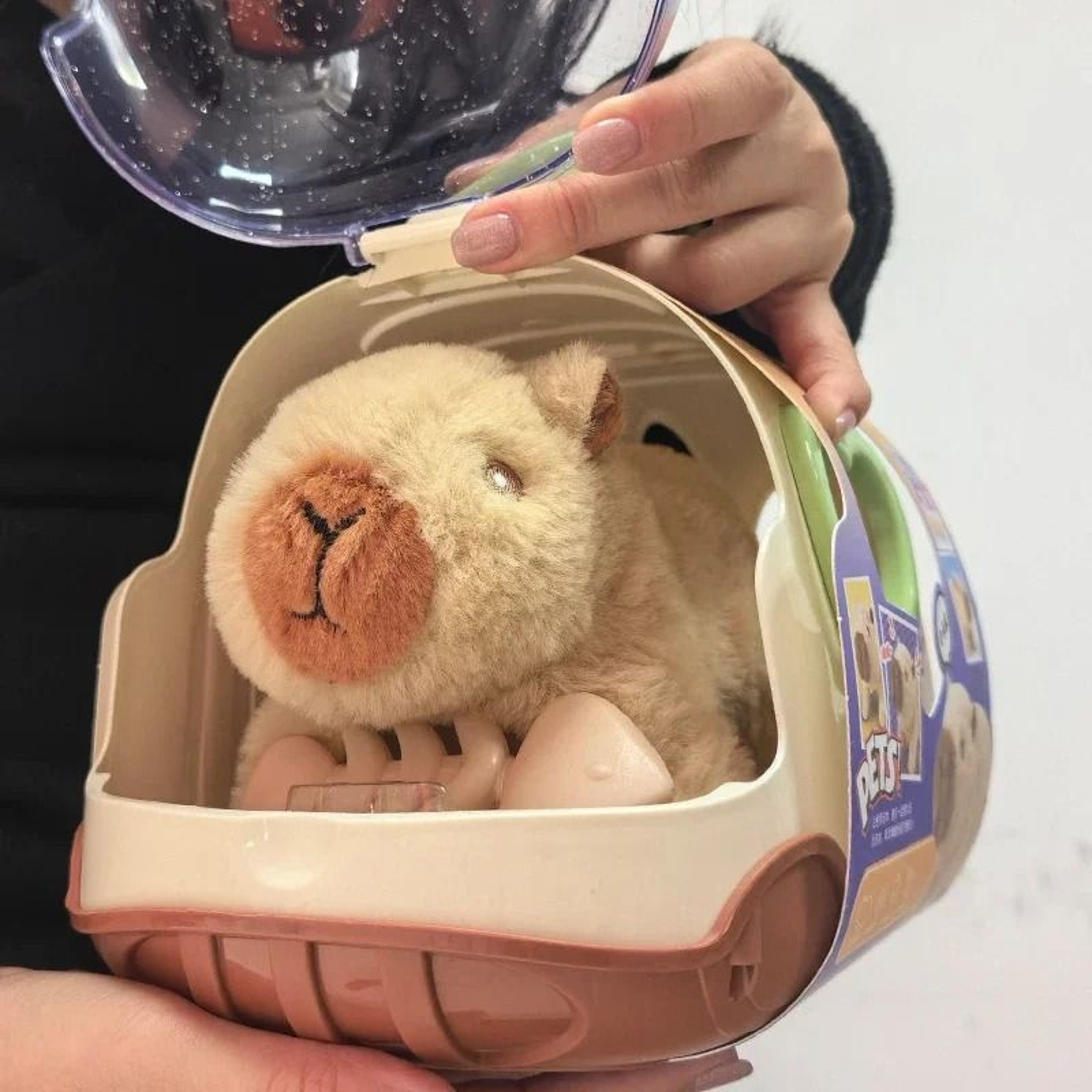 Electric Capybara Walking Plush Toy With Sound For Kids 2