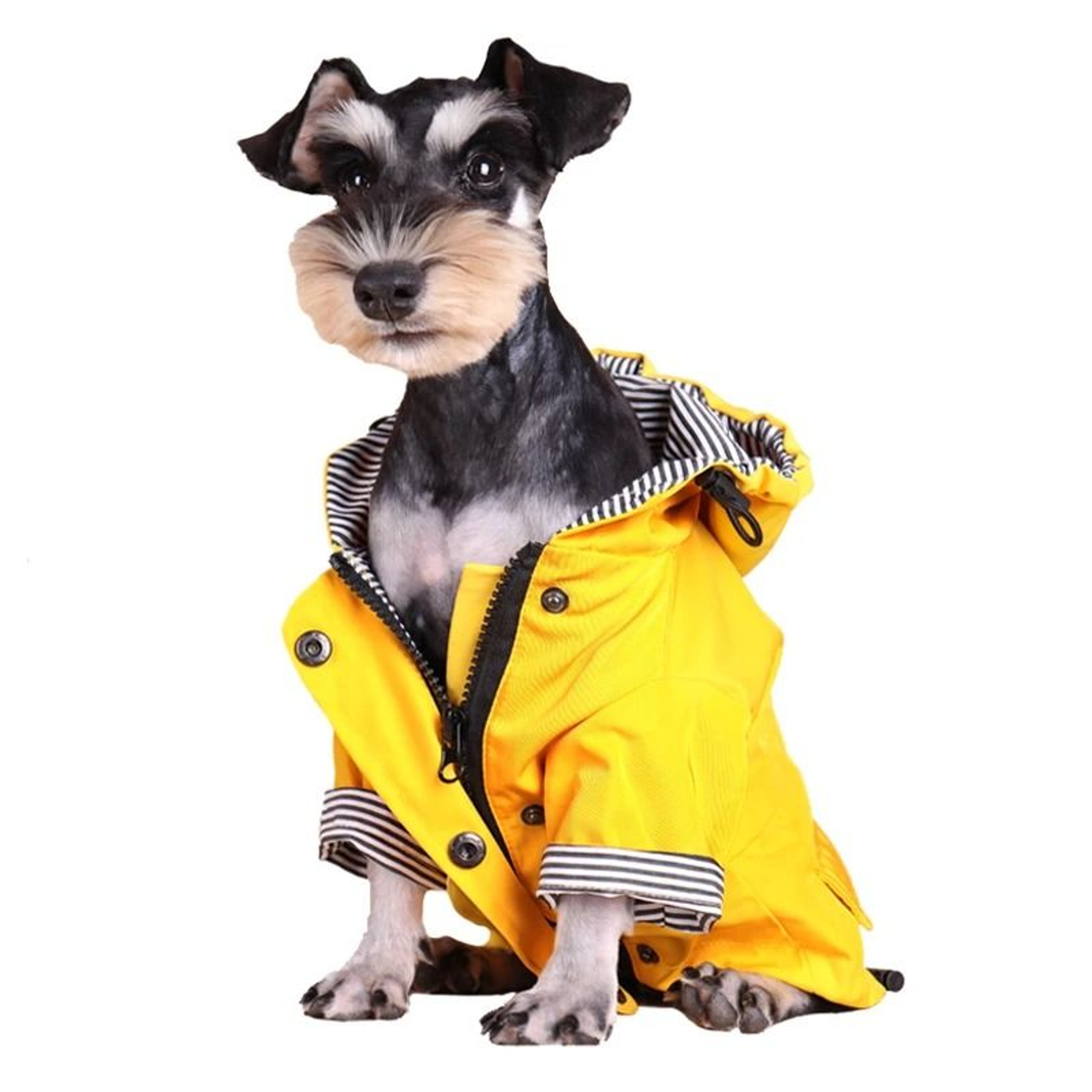 Waterproof Dog Raincoat And Winter Jacket For All Breeds 0