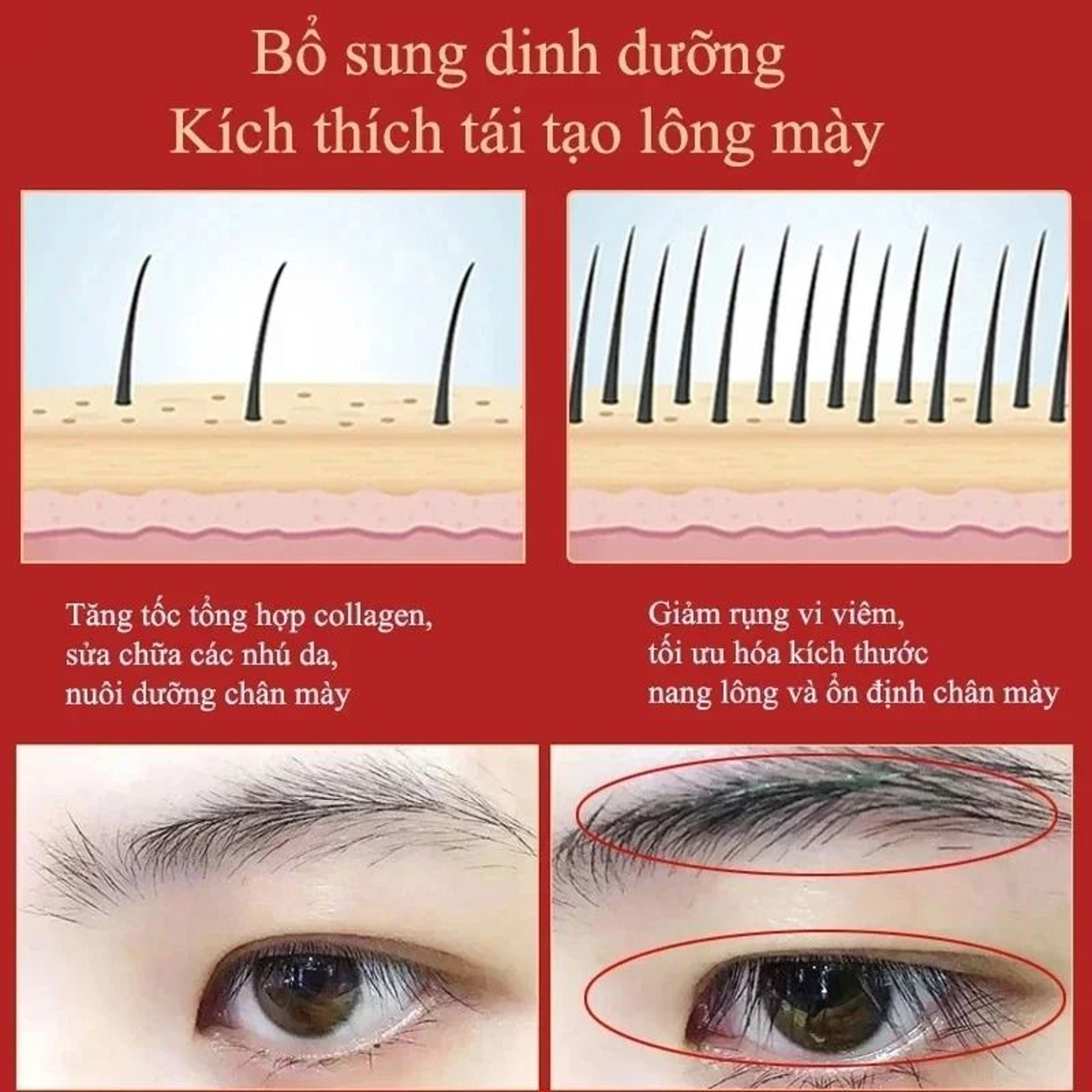 Eyelash And Eyebrow Growth Serum For Thicker Fuller And Healthier Hair 3