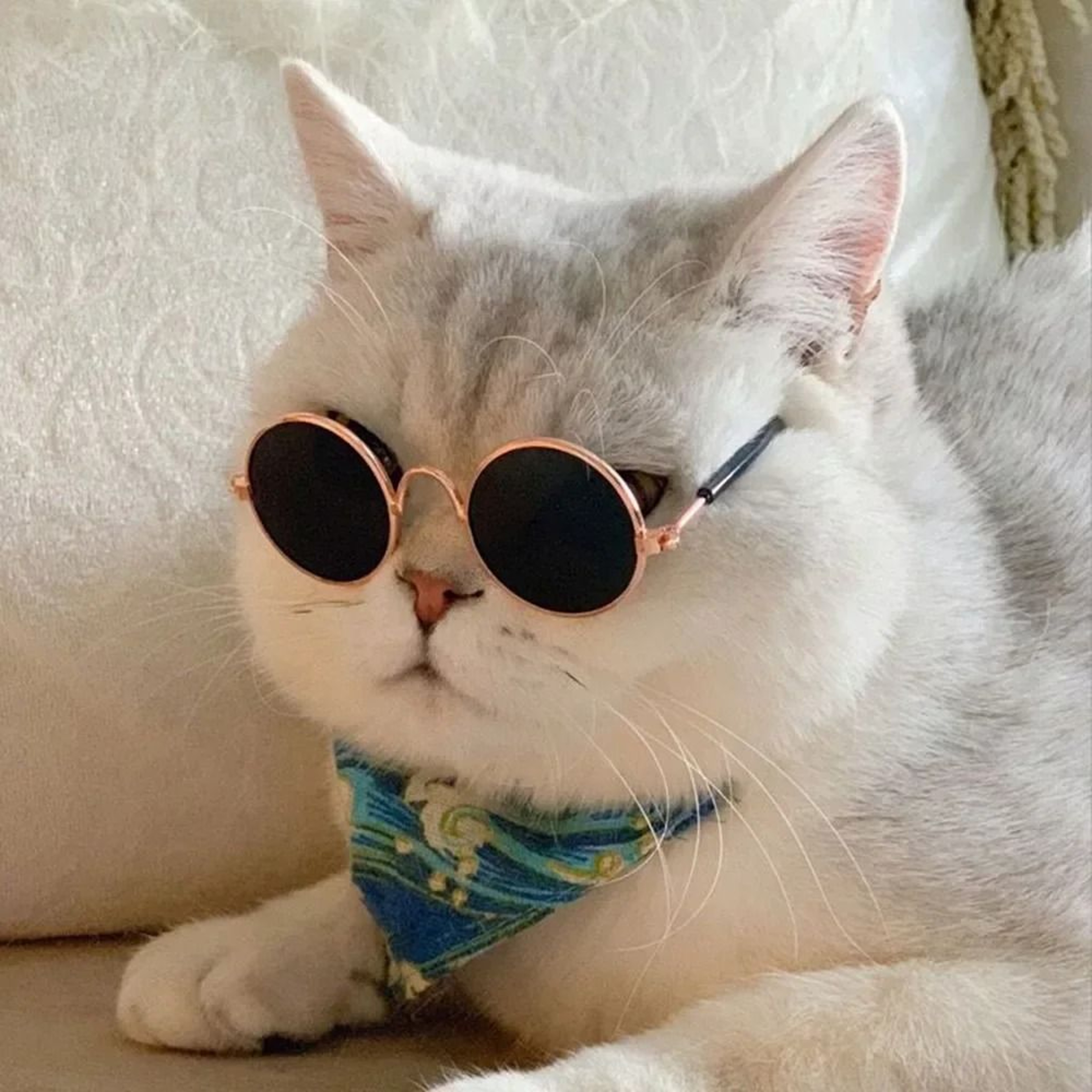 Cute Pet Sunglasses For Cats And Small Dogs UV Protection Summer Photo Props 2