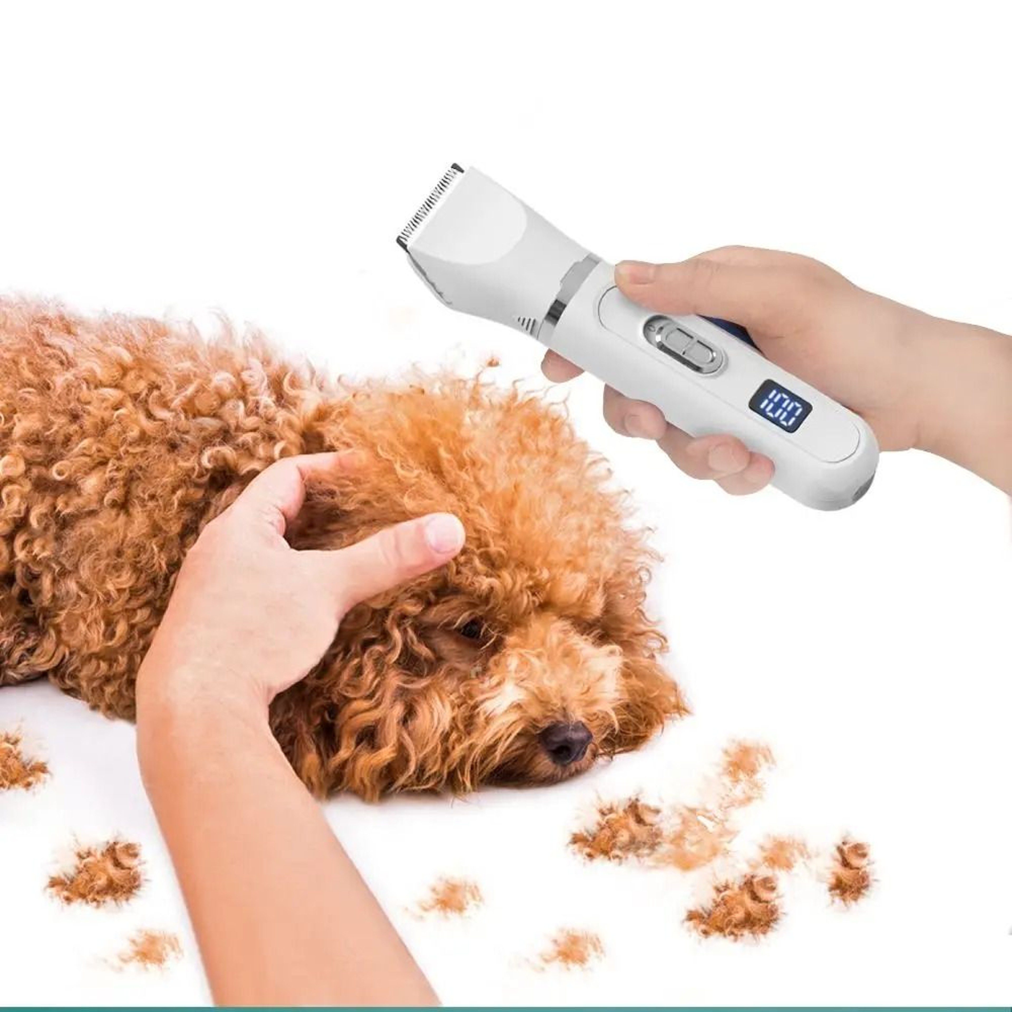 Professional Pet Hair Clippers  Silent USB Rechargeable Dog Grooming Trimmer For Cats And Dogs 2