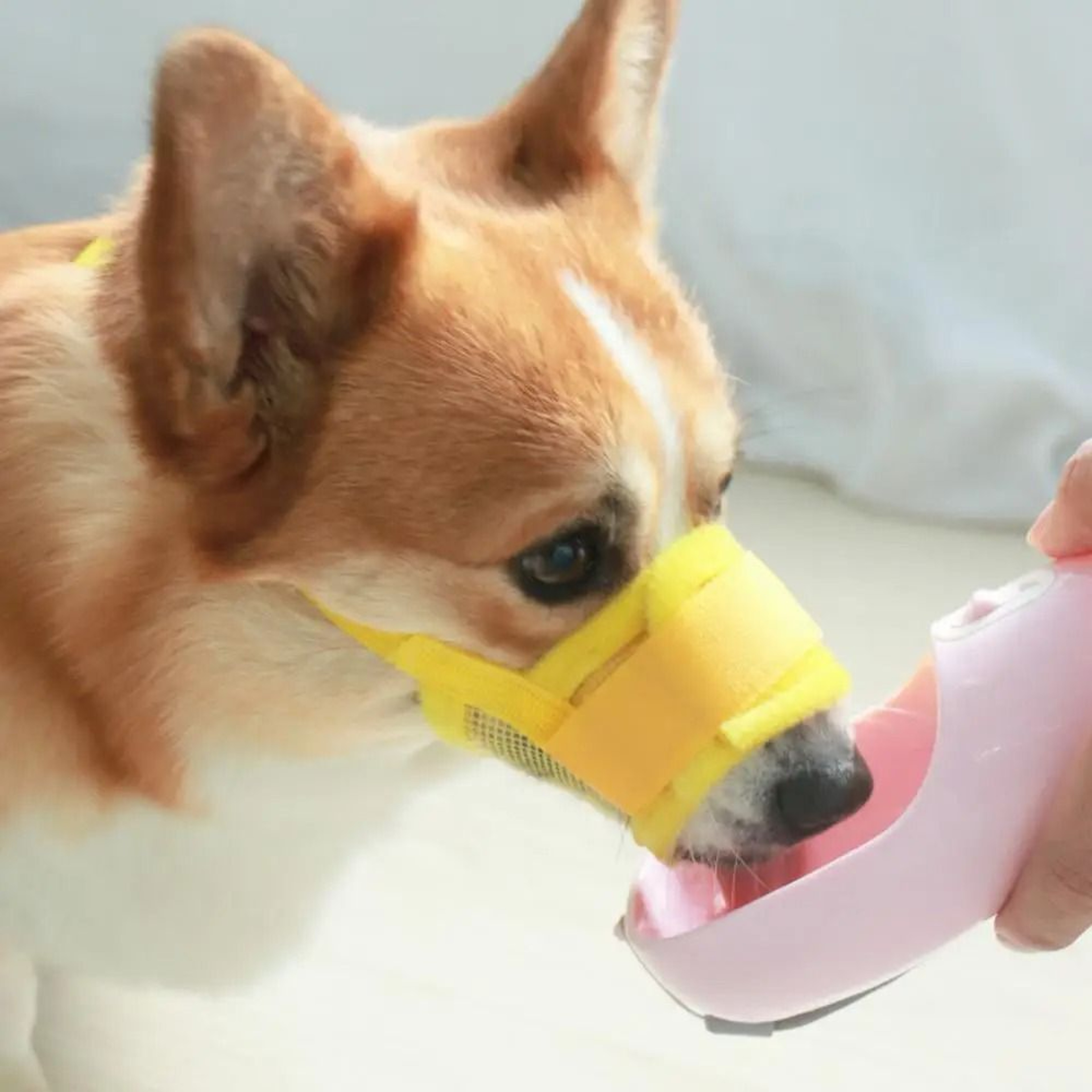 Adjustable Mesh Dog Muzzle  Breathable AntiBarking And AntiBiting Pet Mouth Cover 2