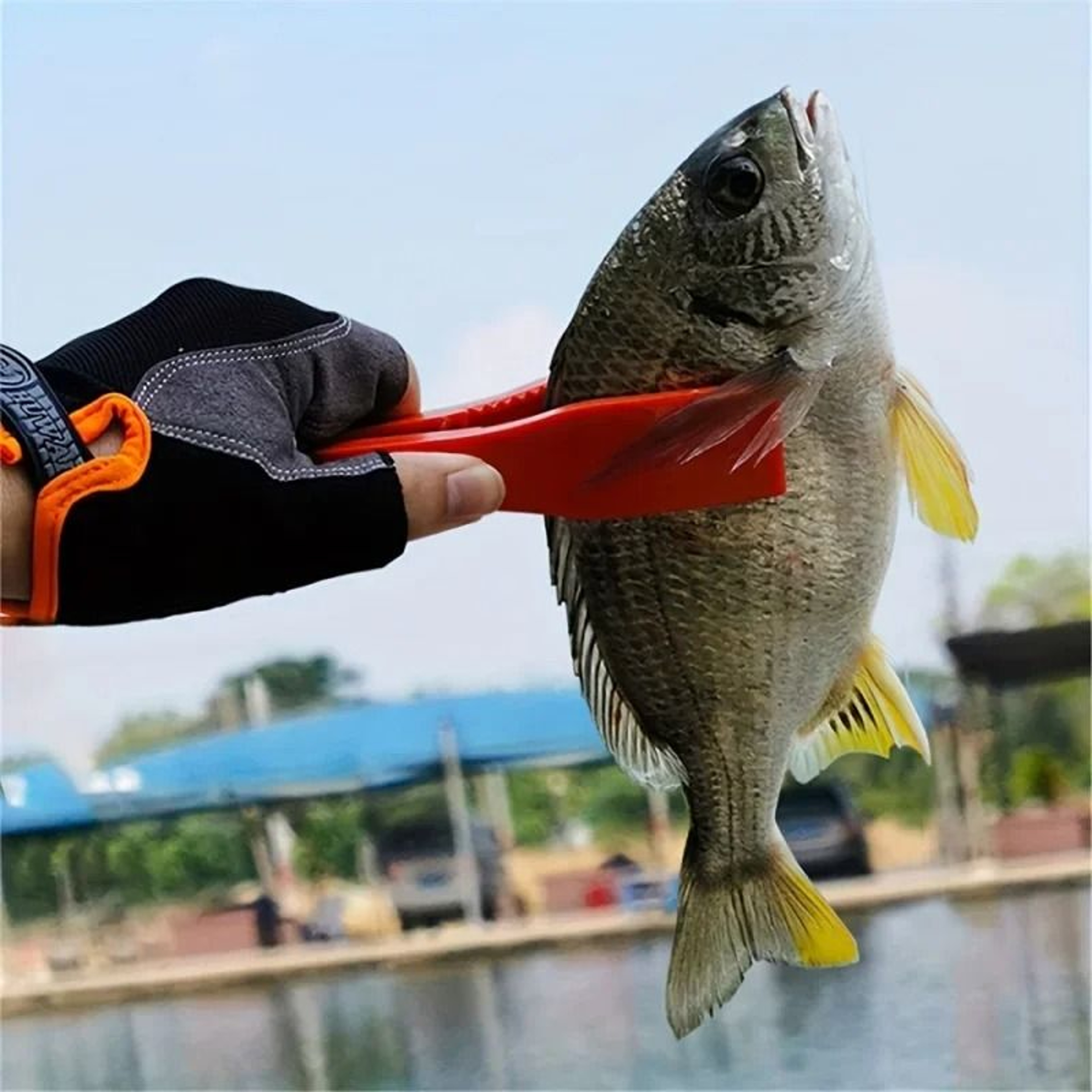 Multifunctional Fishing Fish Clip Hand Controller Grip Tool 3