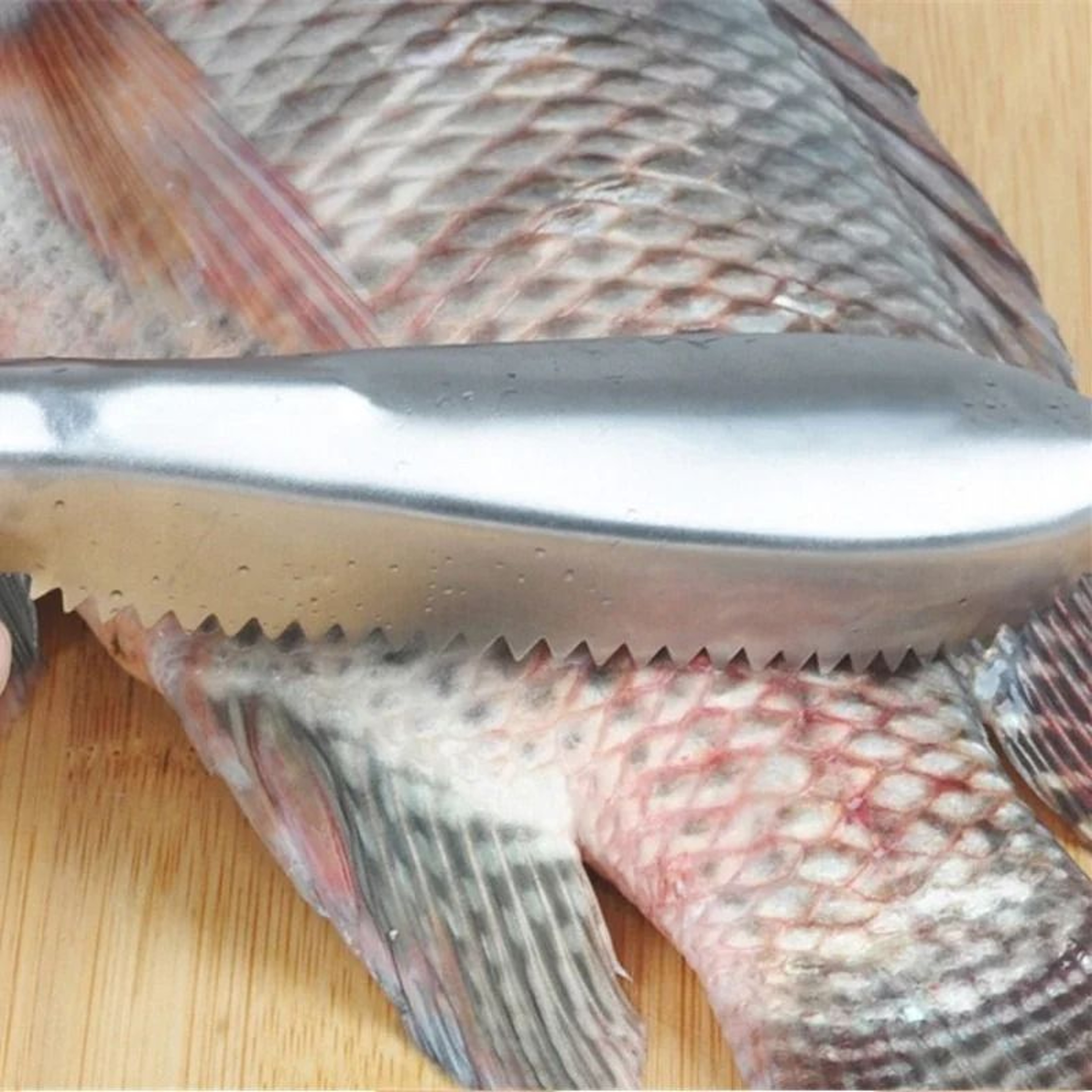 Stainless Steel Fish Skin Scraper And Cleaning Knife  HeavyDuty Fish Scaler Tool 3