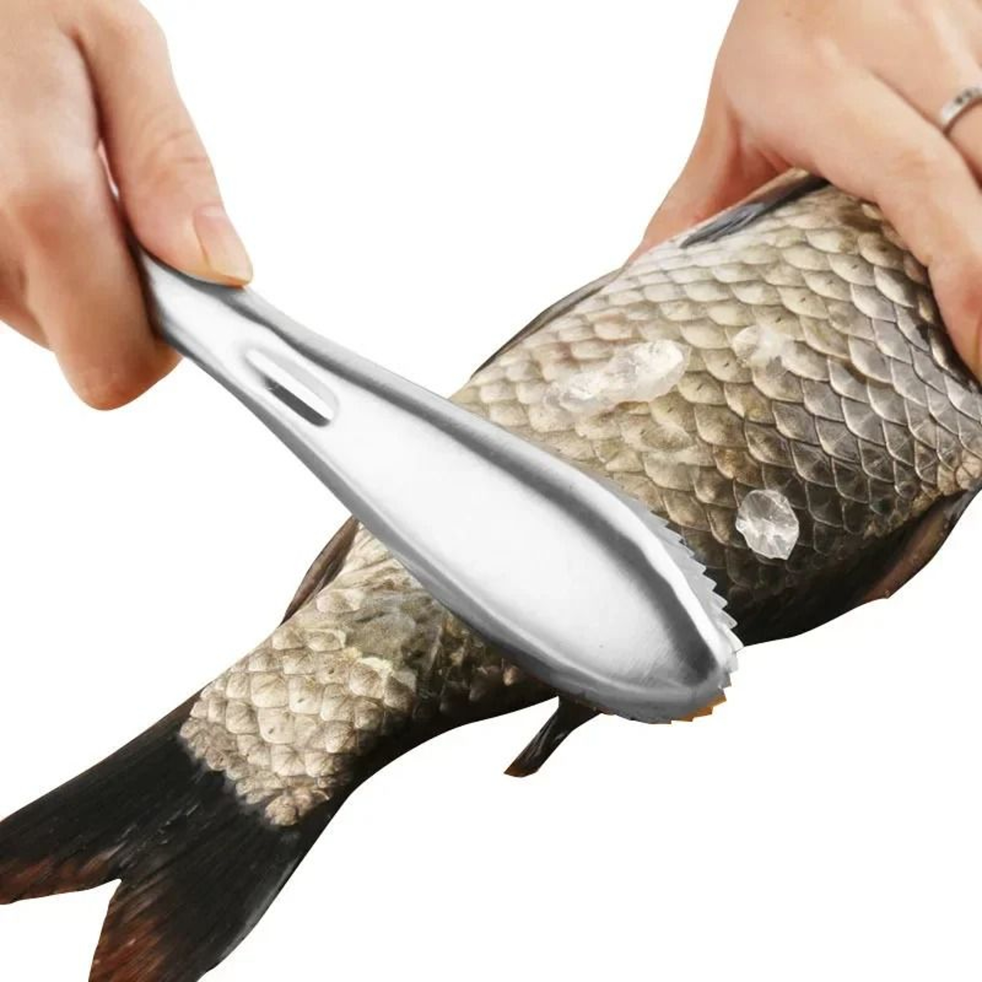 Stainless Steel Fish Skin Scraper And Cleaning Knife  HeavyDuty Fish Scaler Tool 6