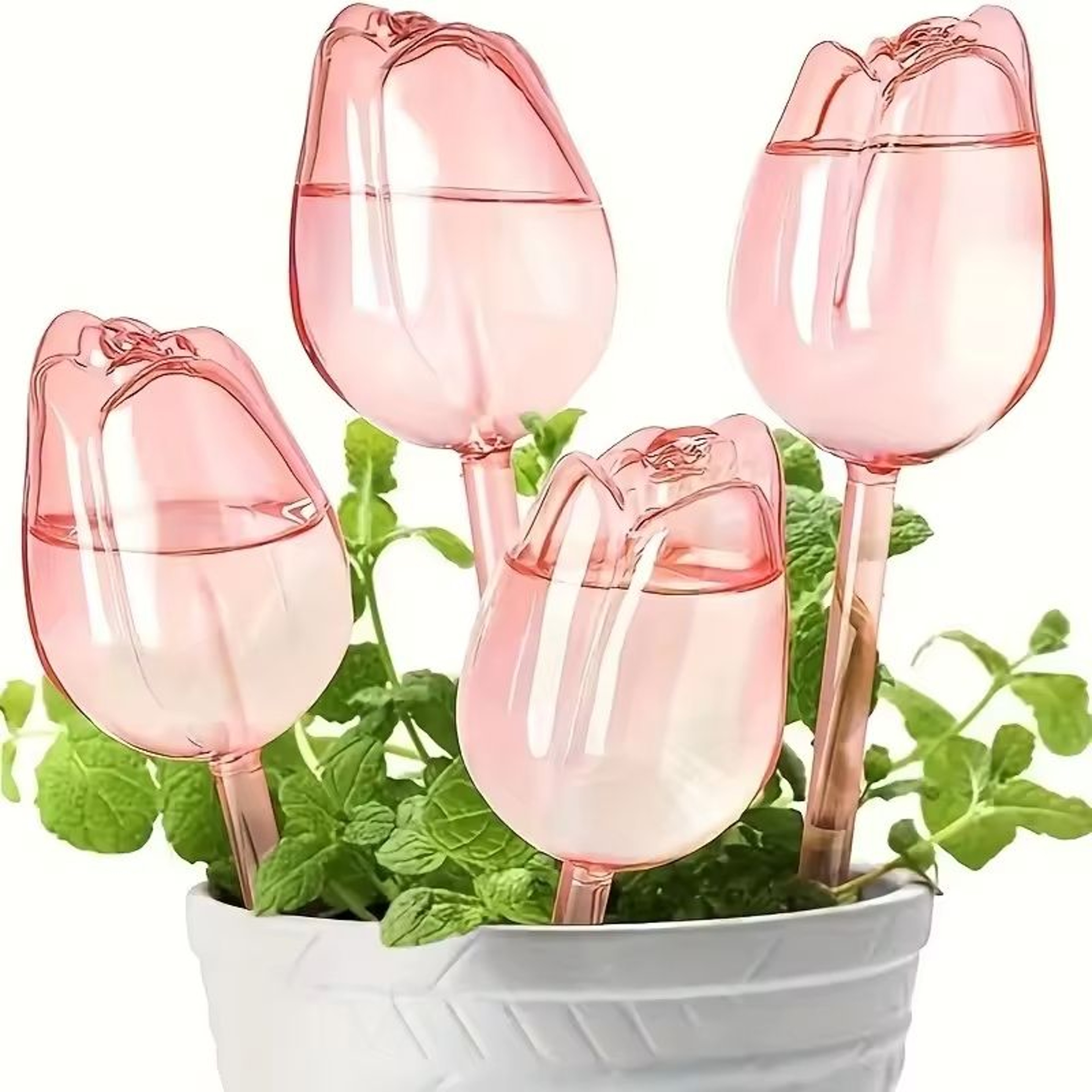 Pink Tulip Self Watering Plant Bulbs For Indoor And Outdoor Pots 9
