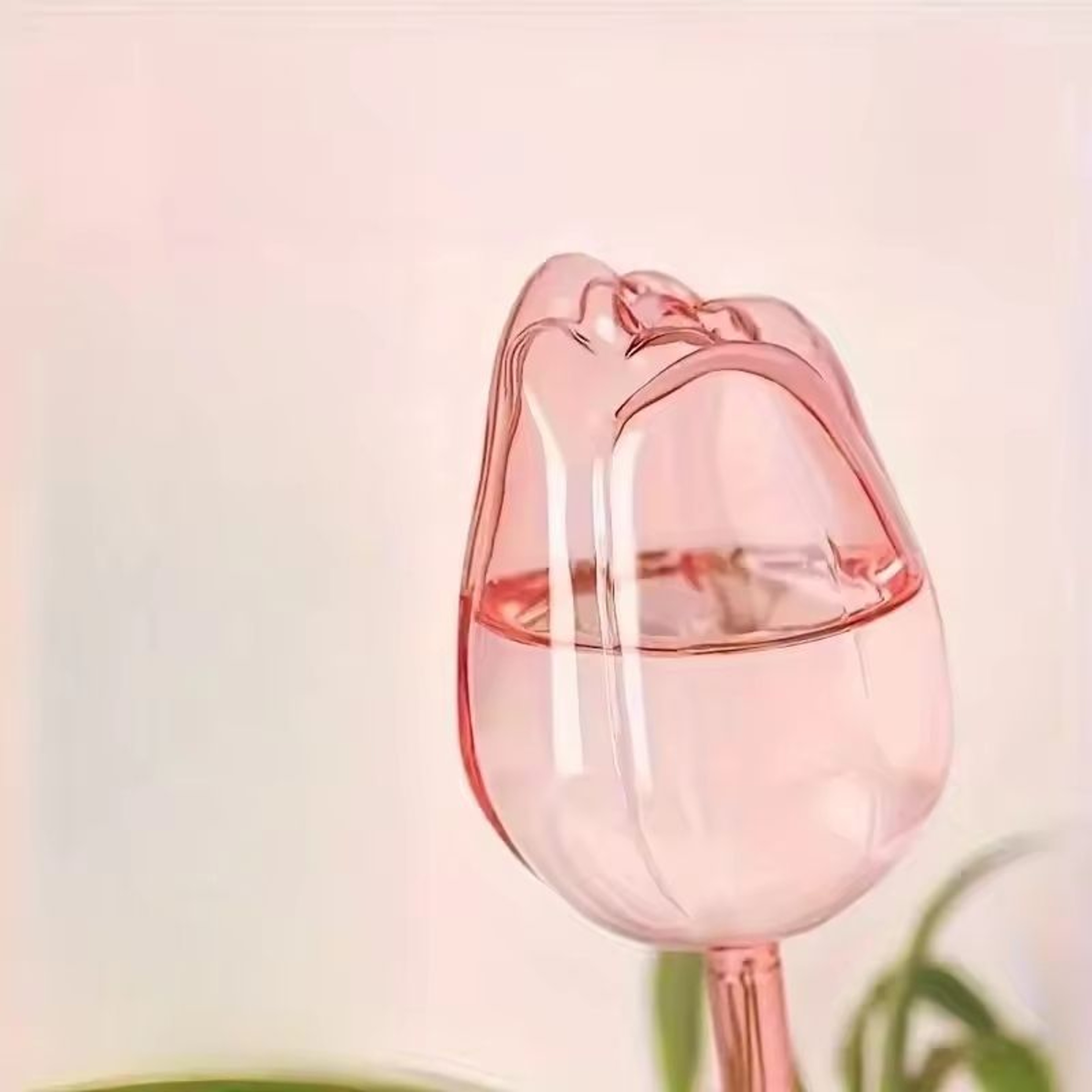 Pink Tulip Self Watering Plant Bulbs For Indoor And Outdoor Pots 3