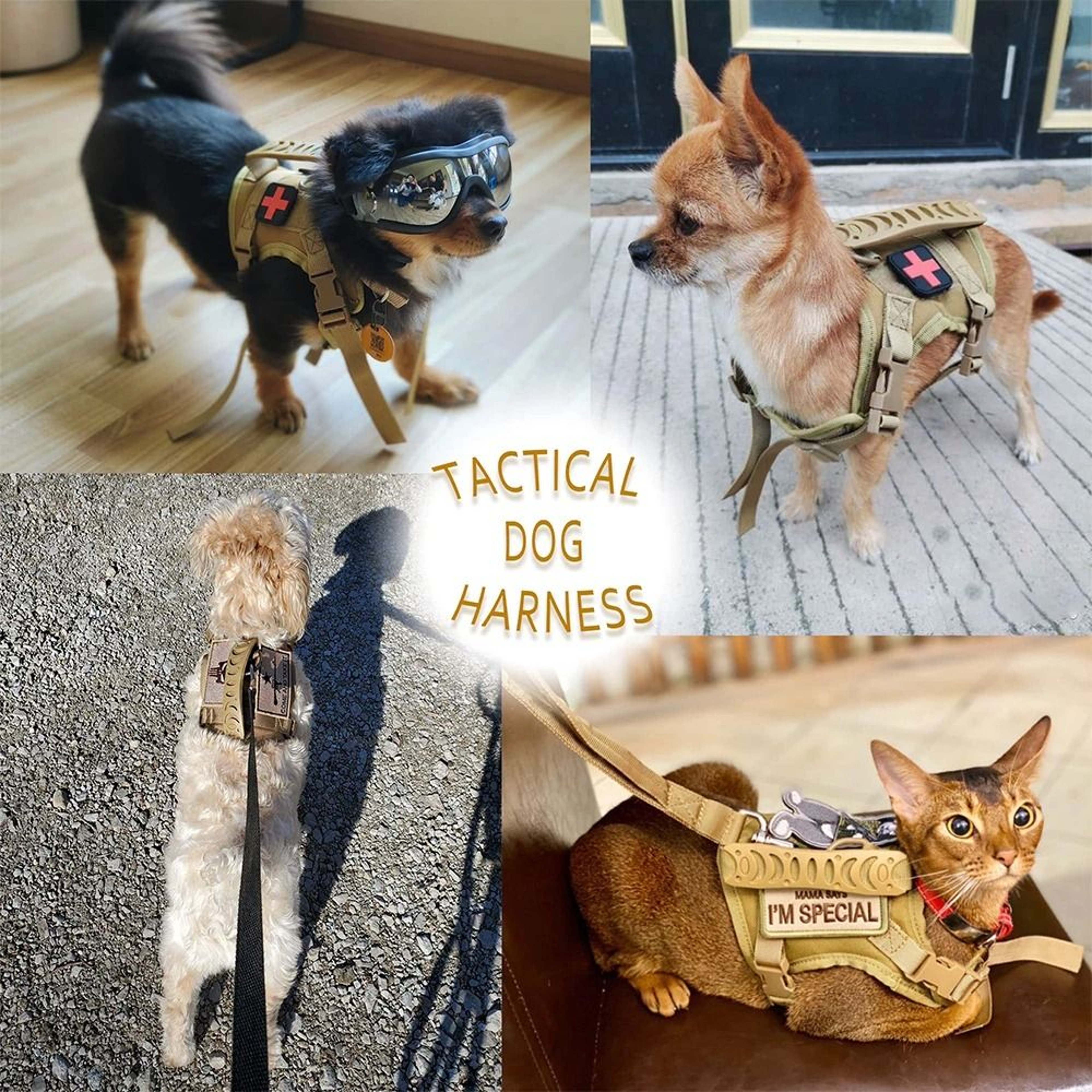 Adjustable Tactical Cat And Puppy Harness With Leash For Secure Training Walks 2