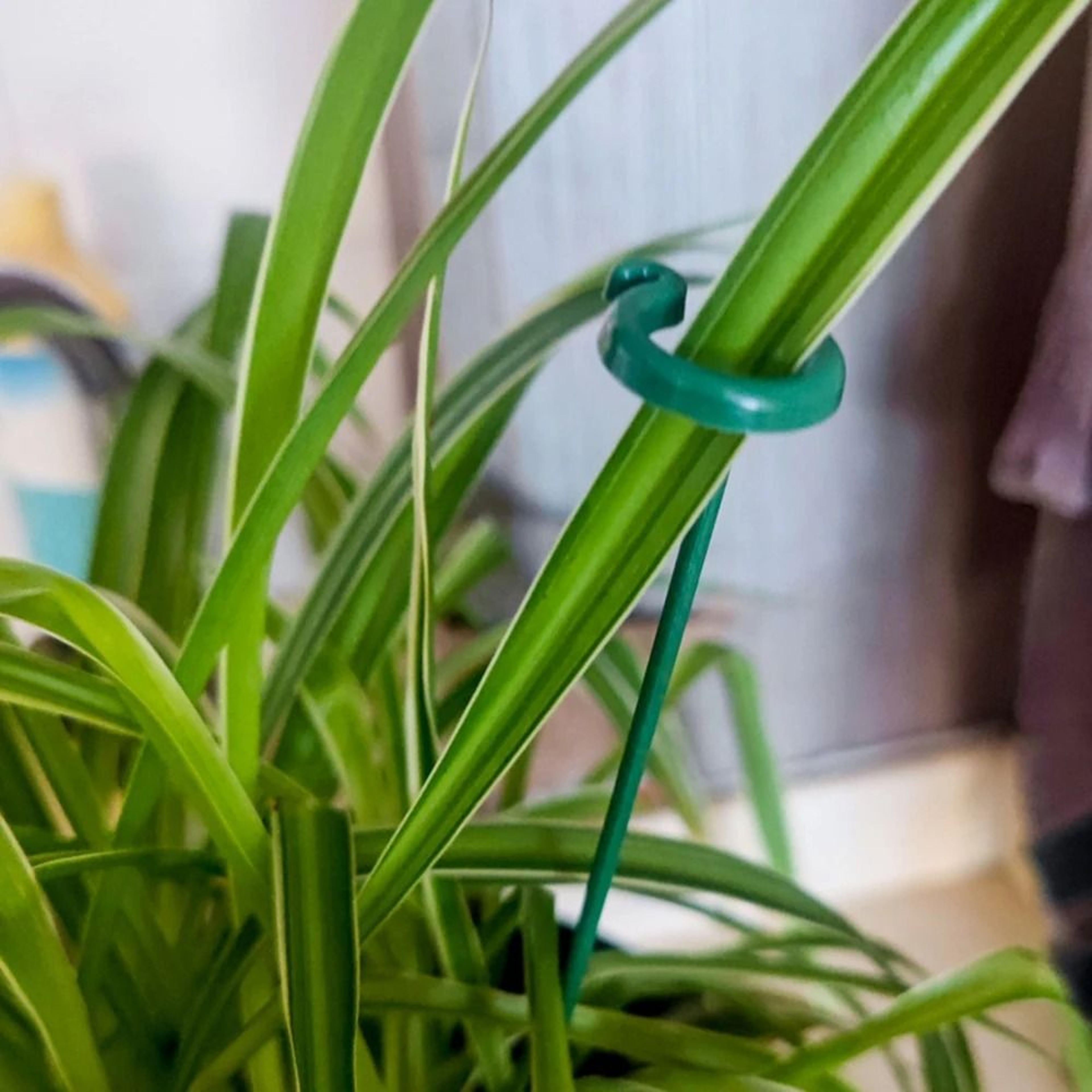 Flower Shape Plant Support Stakes Anti Lodging Garden Support Rod Set Of 10 2