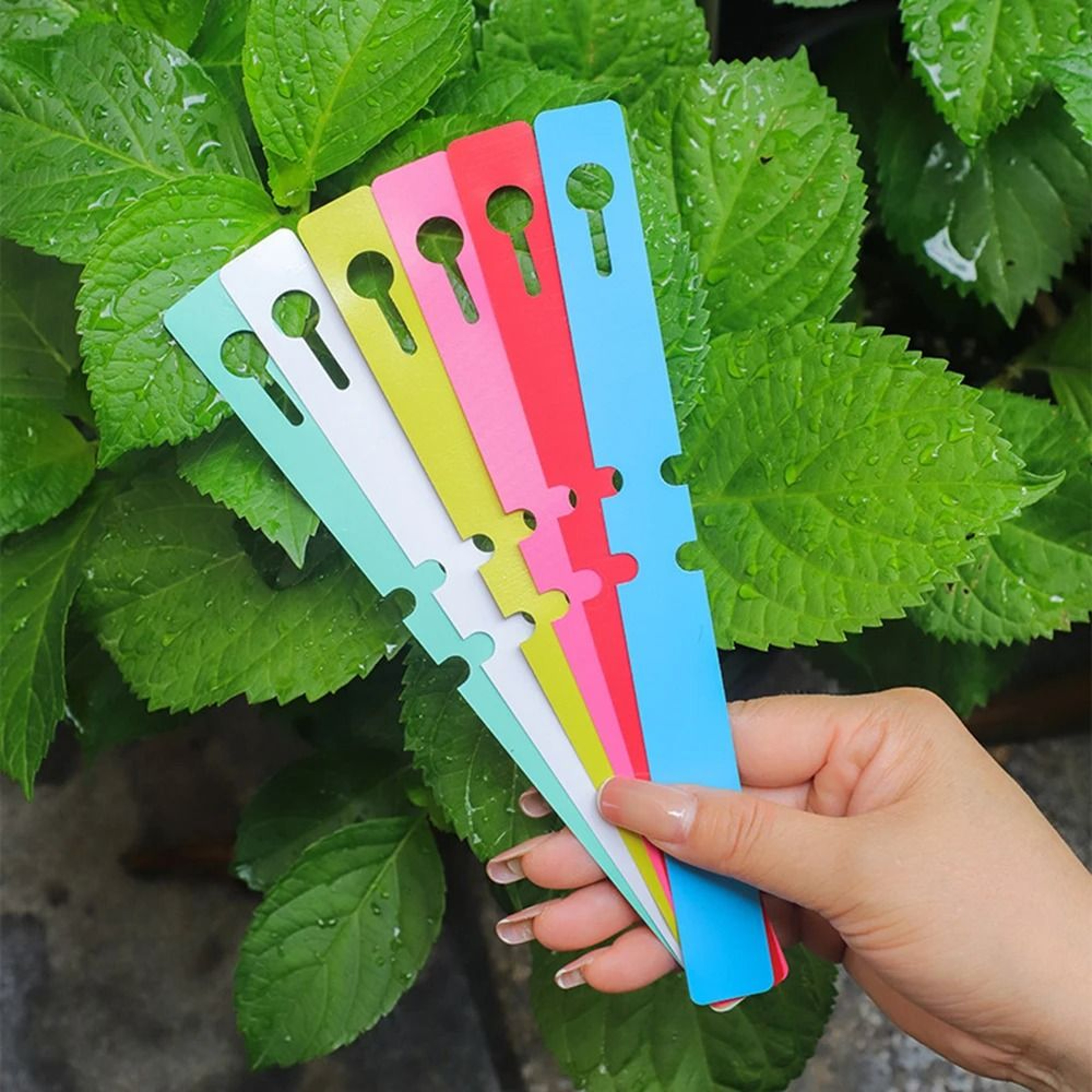Waterproof Plant Label Rings PVC Garden Markers Set Of 100 0