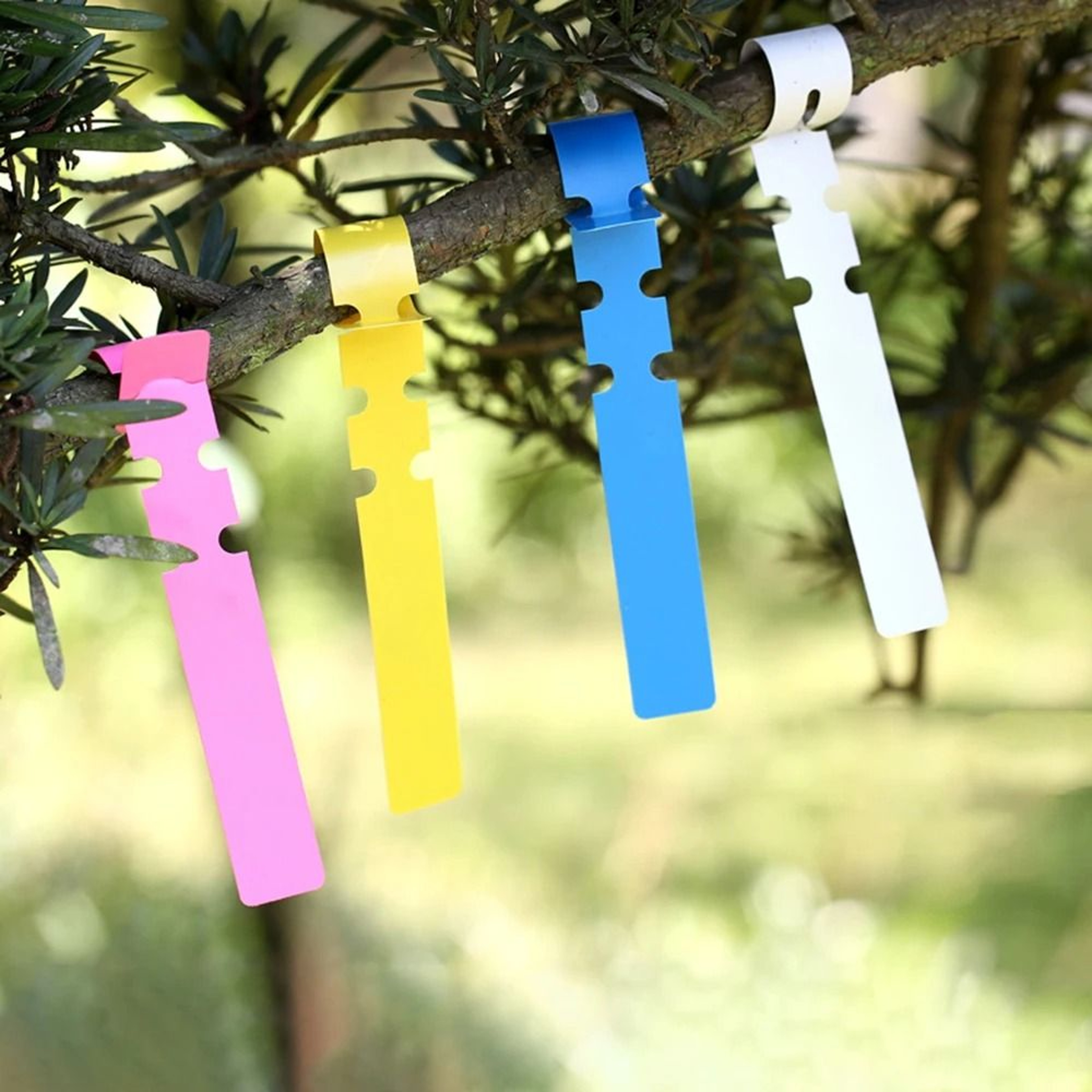 Waterproof Plant Label Rings PVC Garden Markers Set Of 100 5