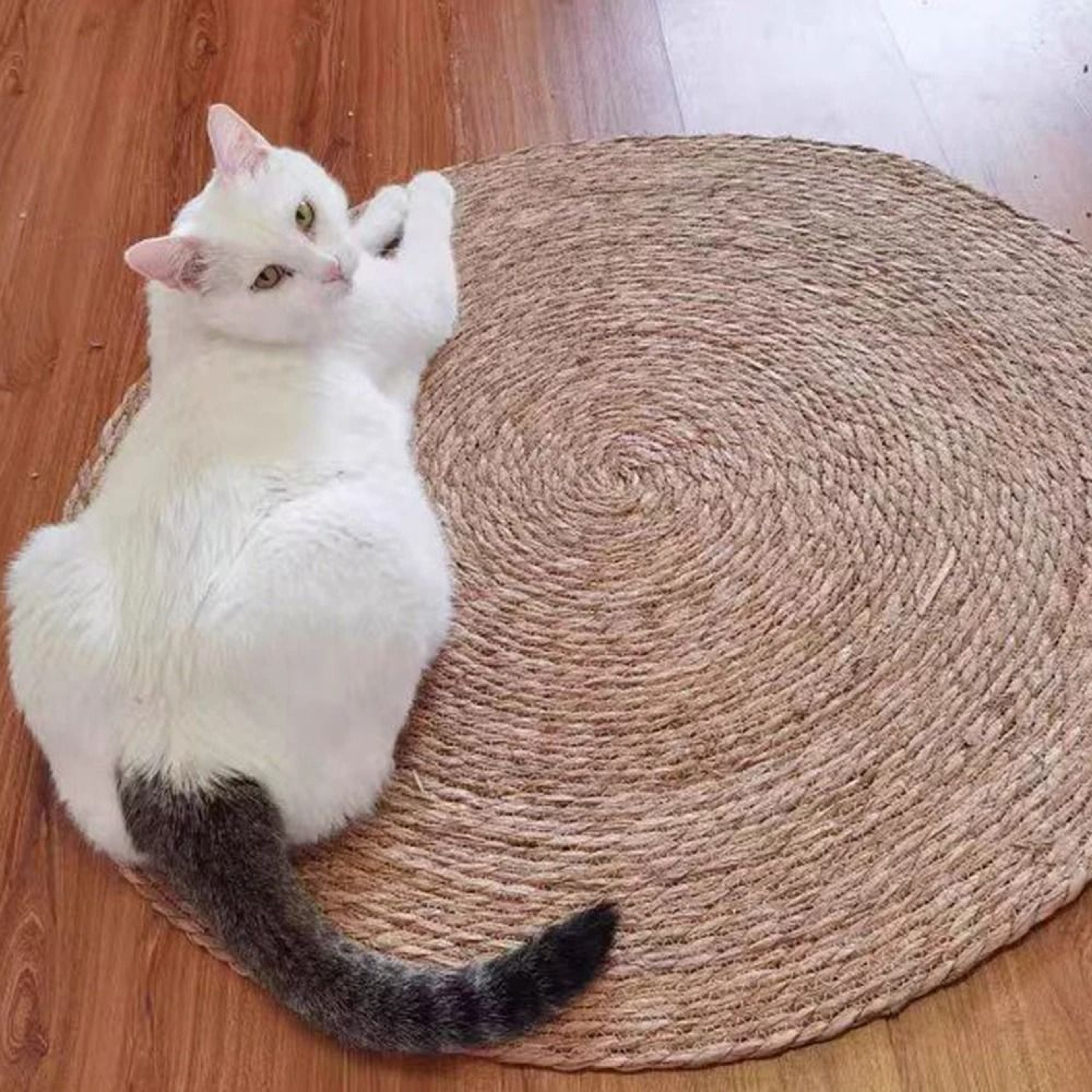 Rattan Cat Scratching Mat Round Cat Scratcher Furniture Protector For Indoor Cats 2