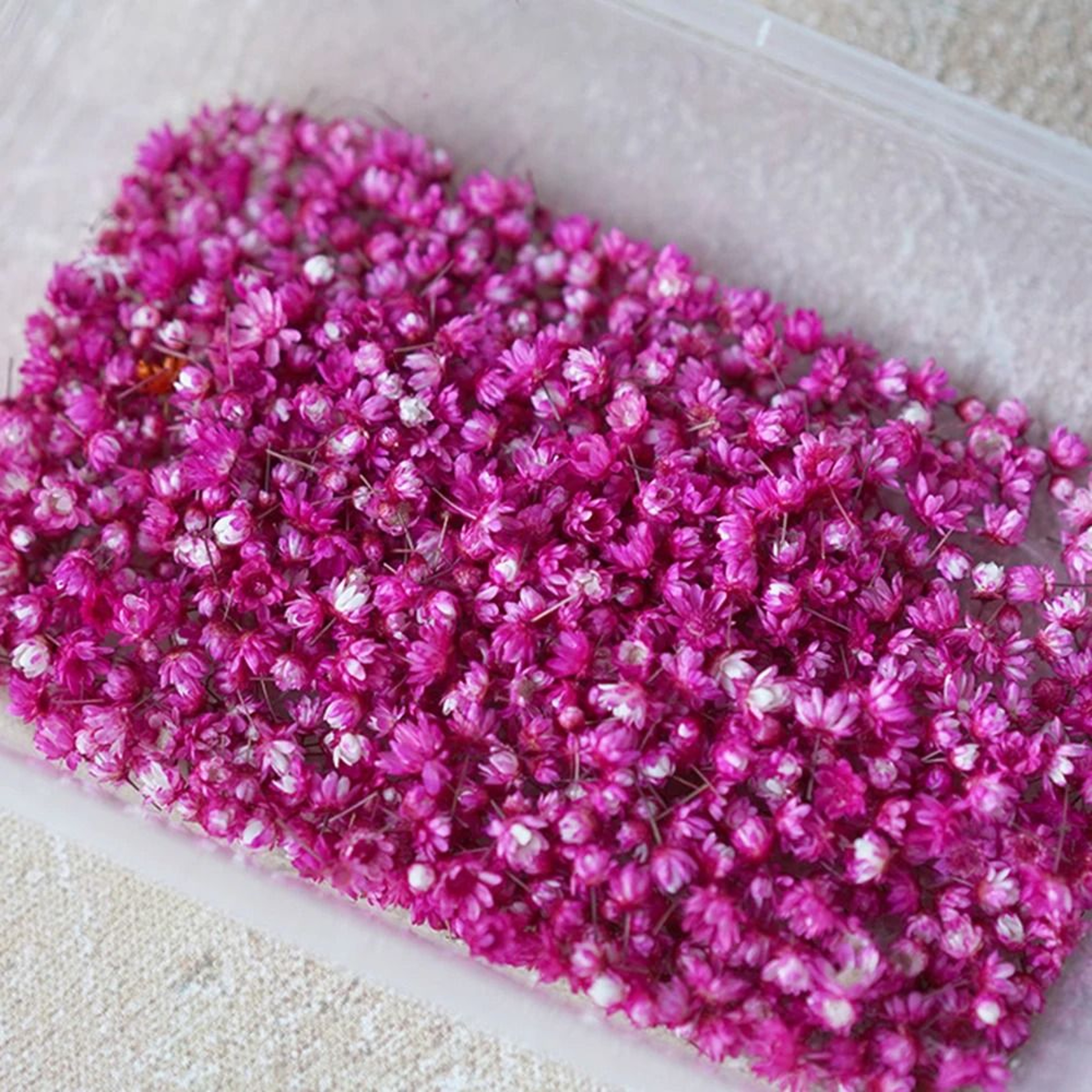 Mini Dried Look Artificial Flower Heads For DIY Crafts Resin Jewelry Candle Decor 140 Or 280 Pieces 5
