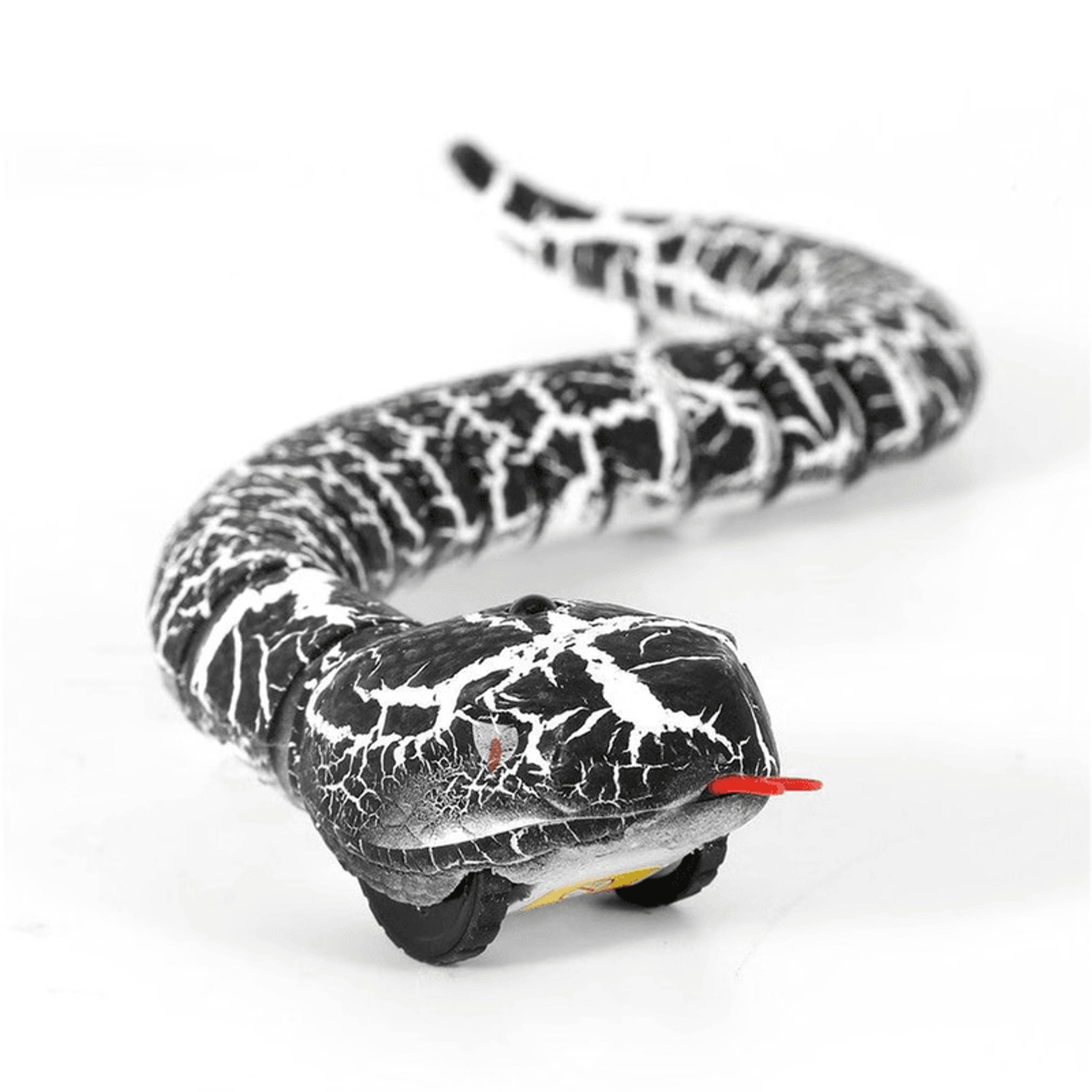 Remote control snake toy slithering on the floor