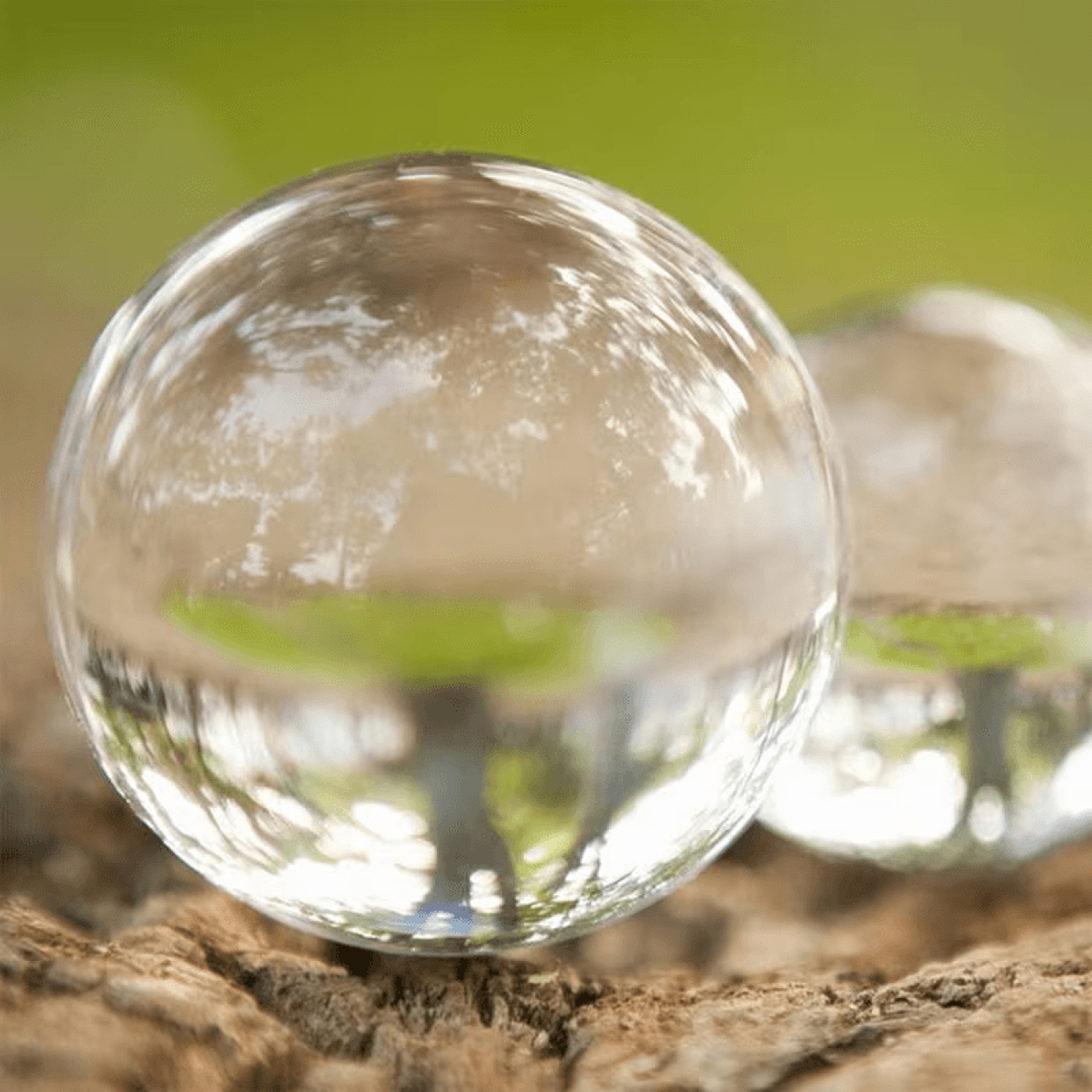 photographer holding crystal ball lens outdoors