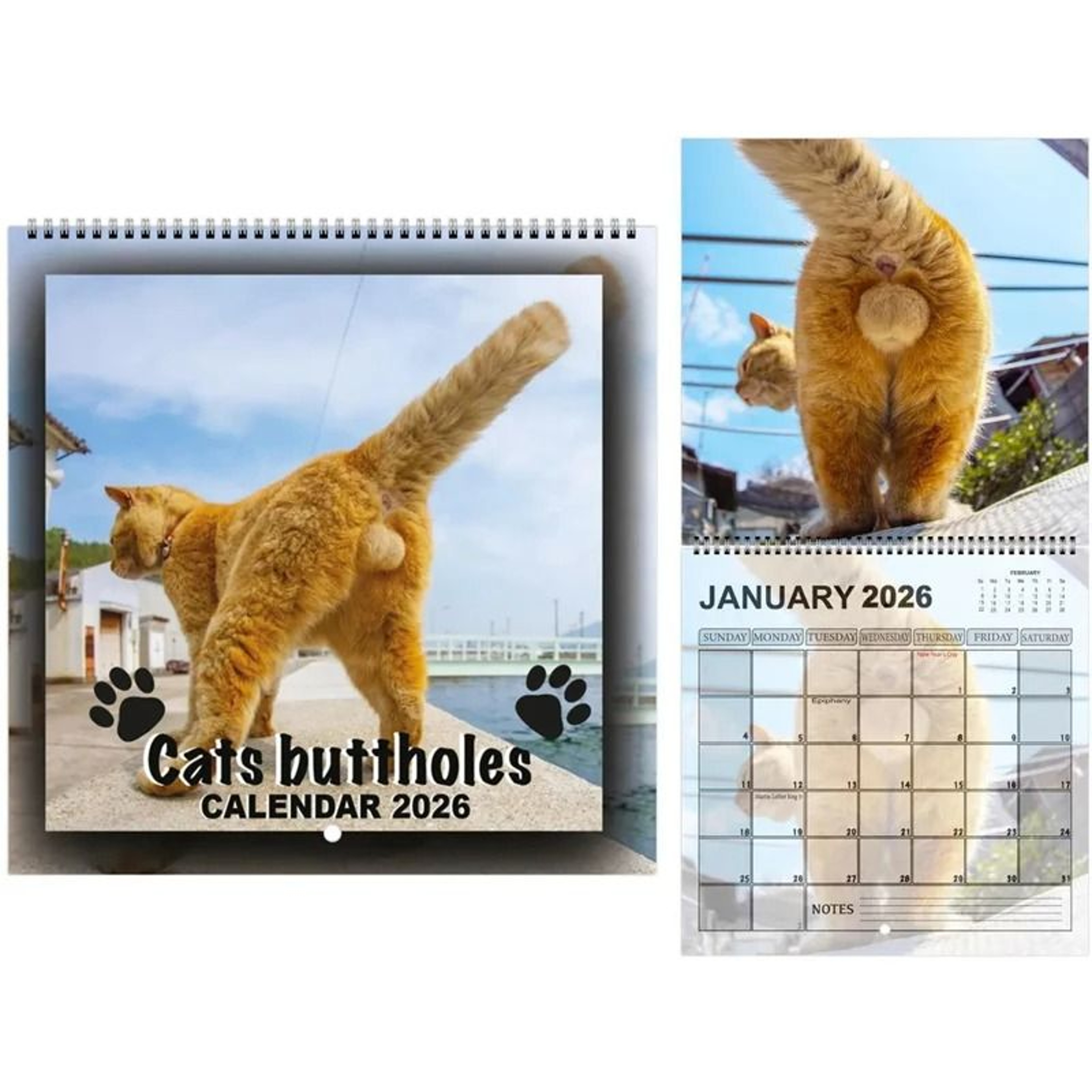 Funny 2026 Cats Buttholes Calendar Unique Humorous Monthly Planner For Gifting And Decor 0