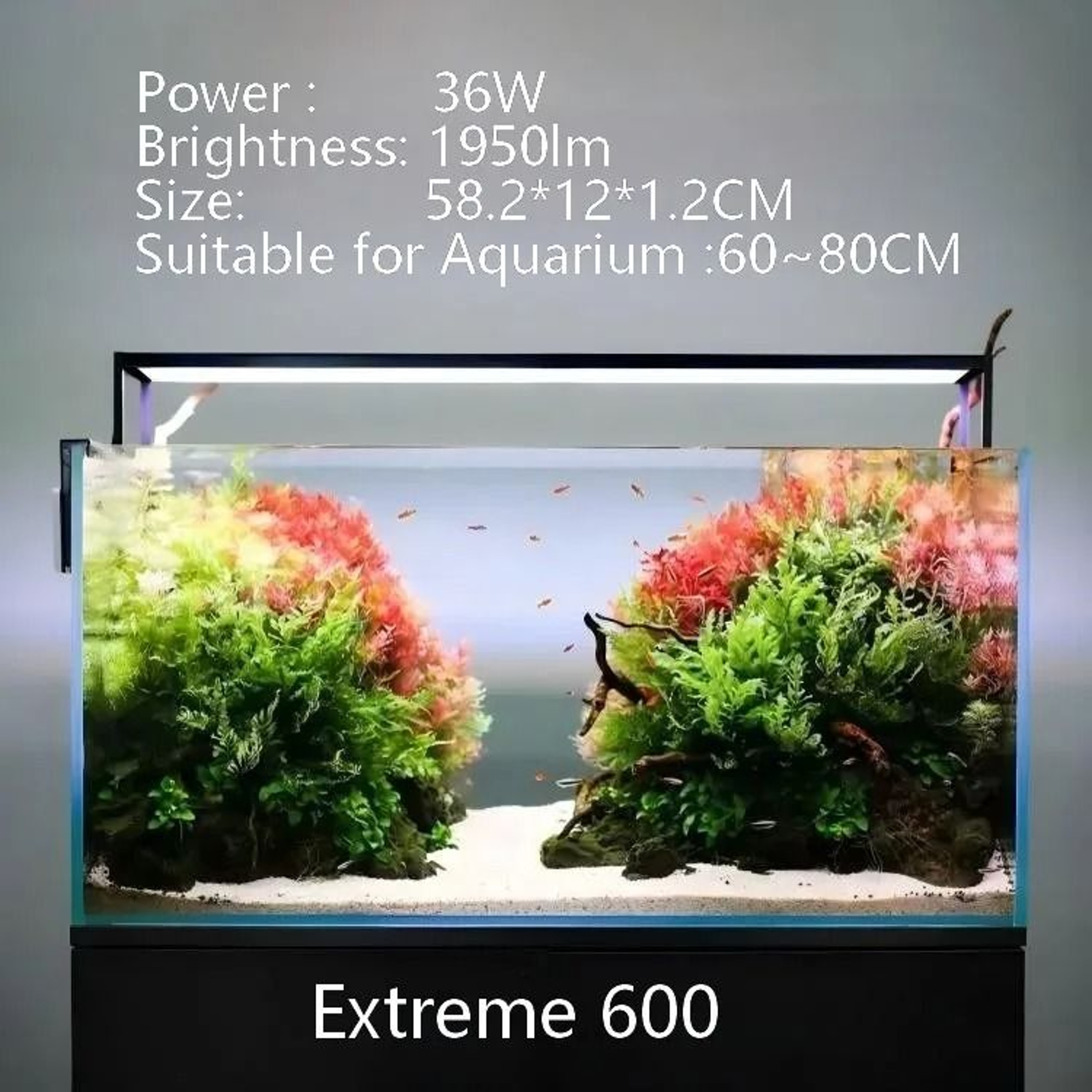 Extreme II Smart AppControlled LED Aquarium Light 8