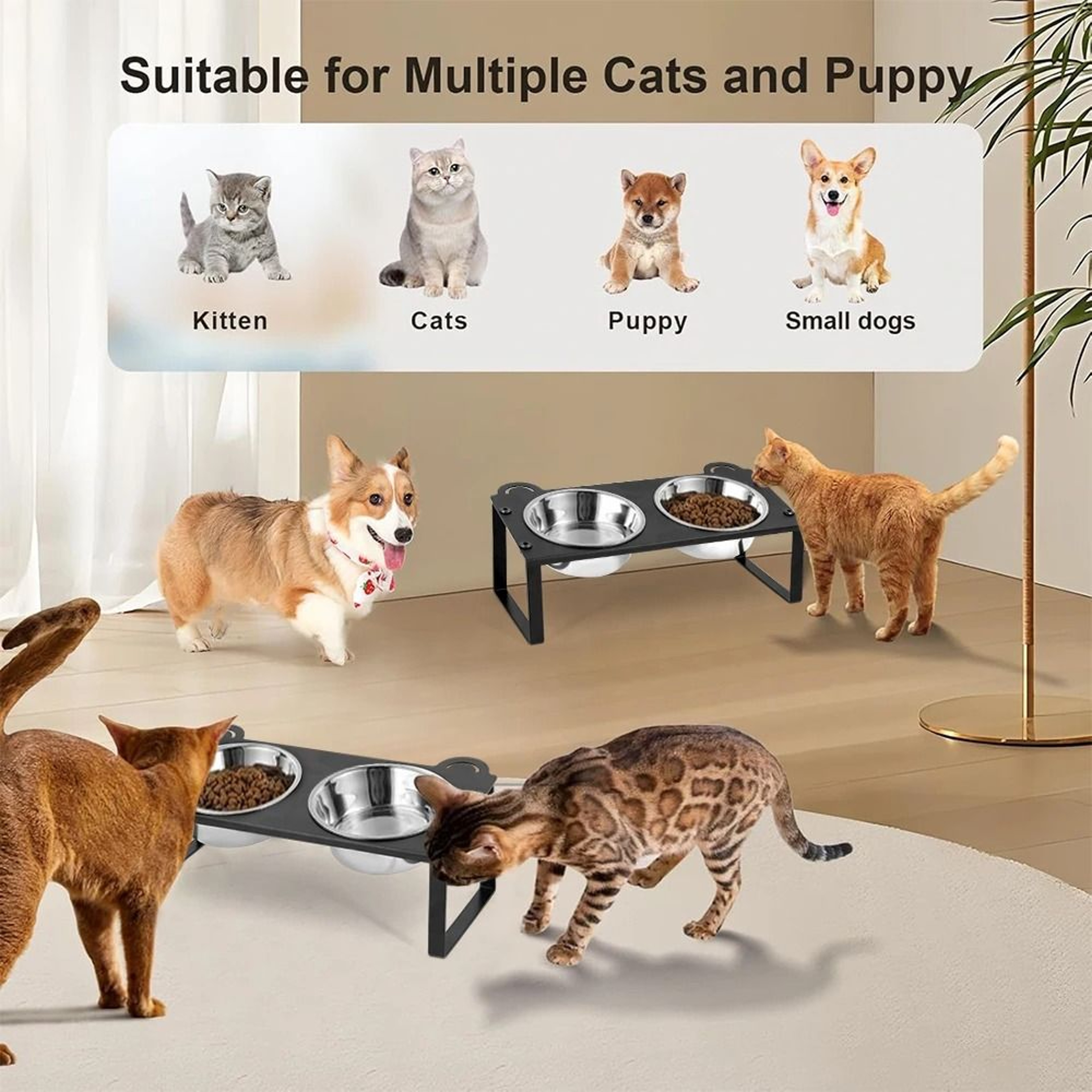 Professional Elevated 15 Degree Tilted Stainless Steel Pet Feeder 3