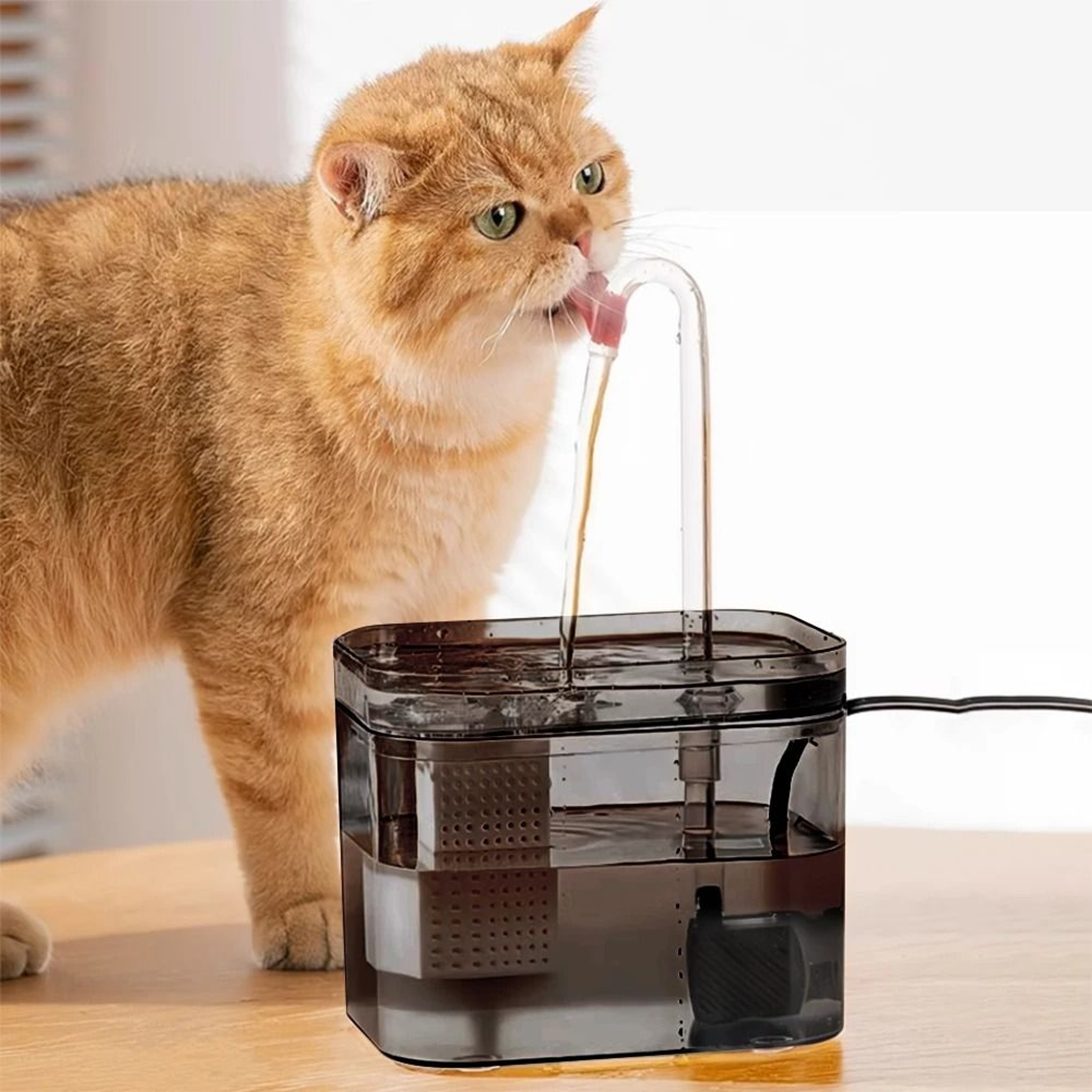 Automatic Circulating Pet Water Fountain 2