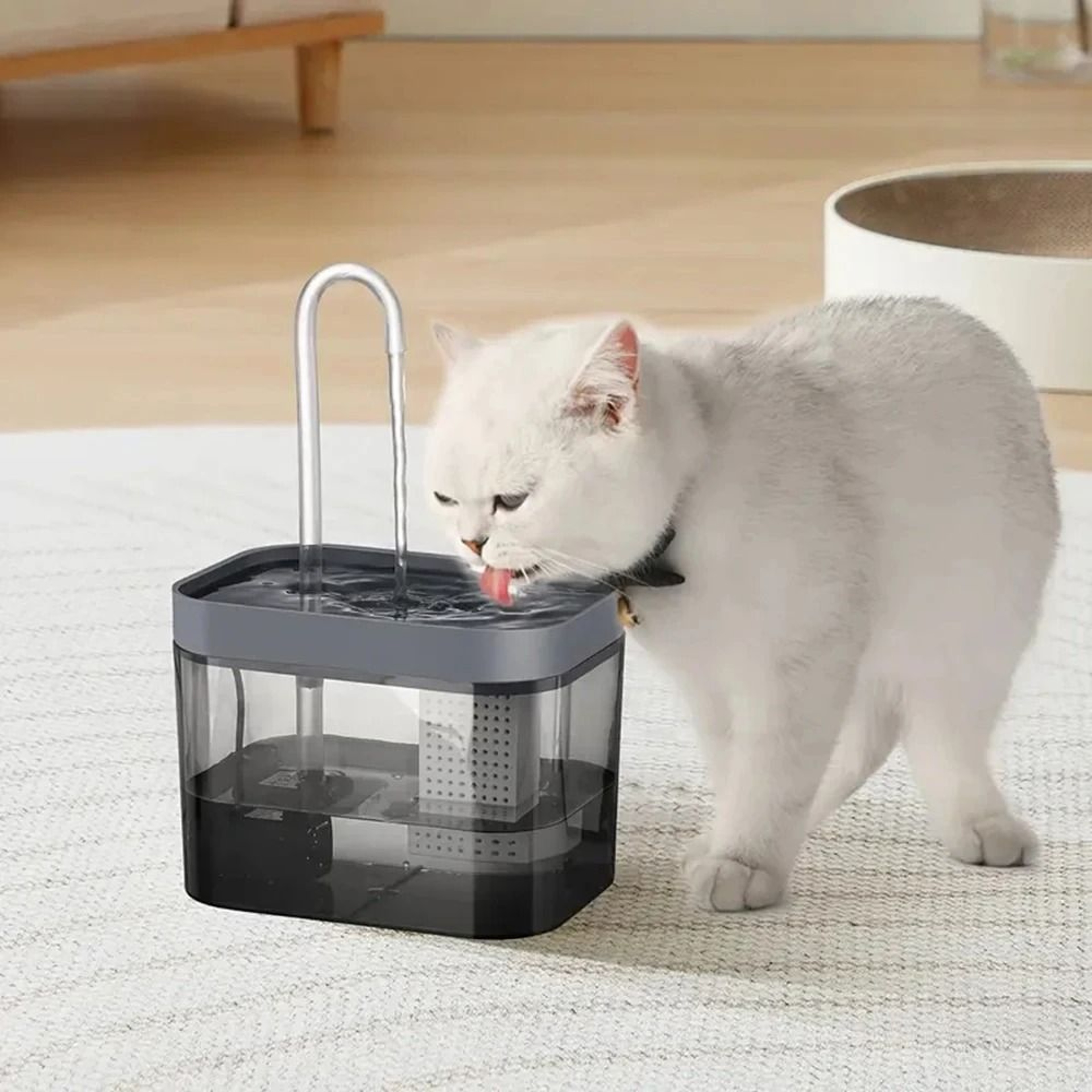 Automatic Circulating Pet Water Fountain 3