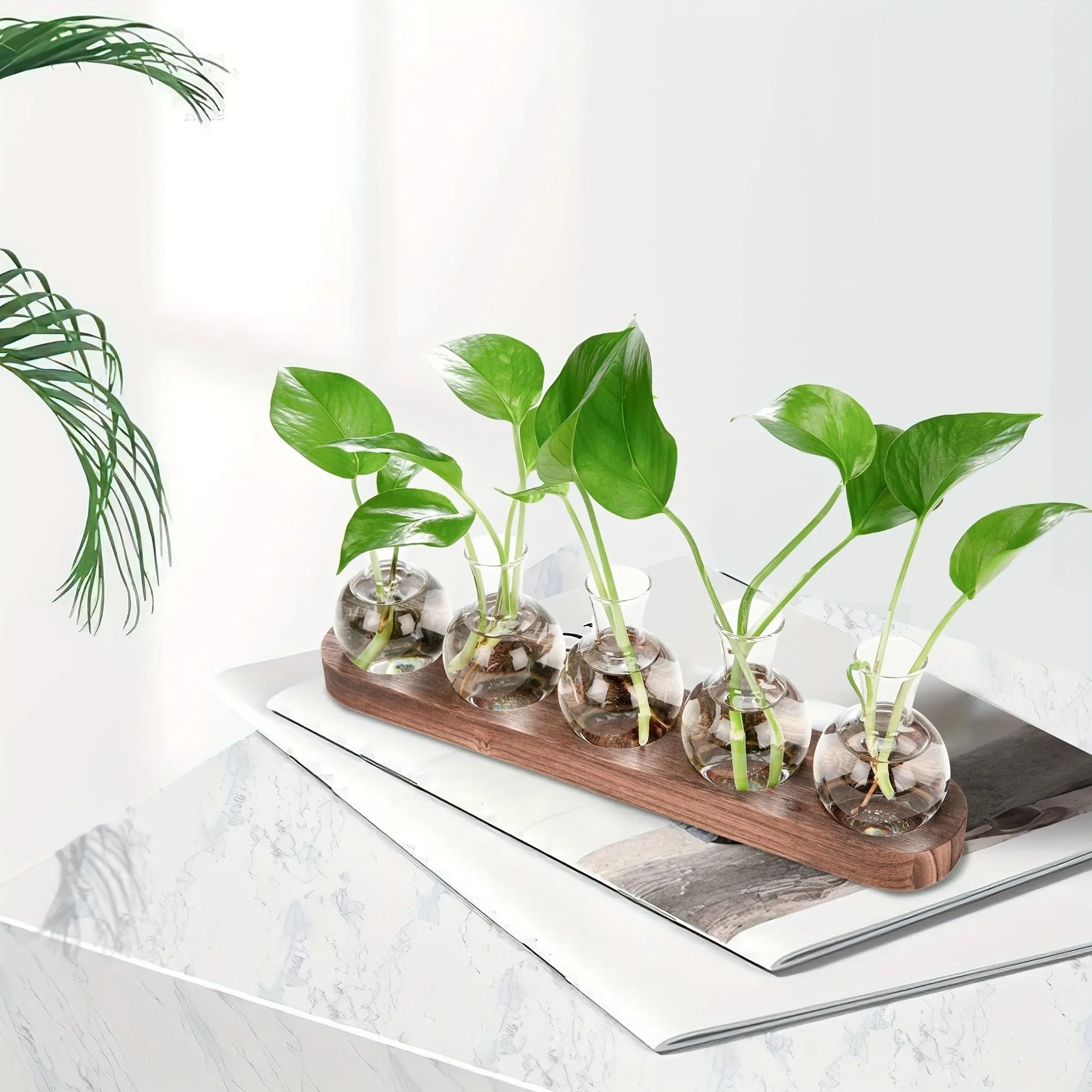 Modern Plant Terrarium Glass Vase With Wooden Tray 2