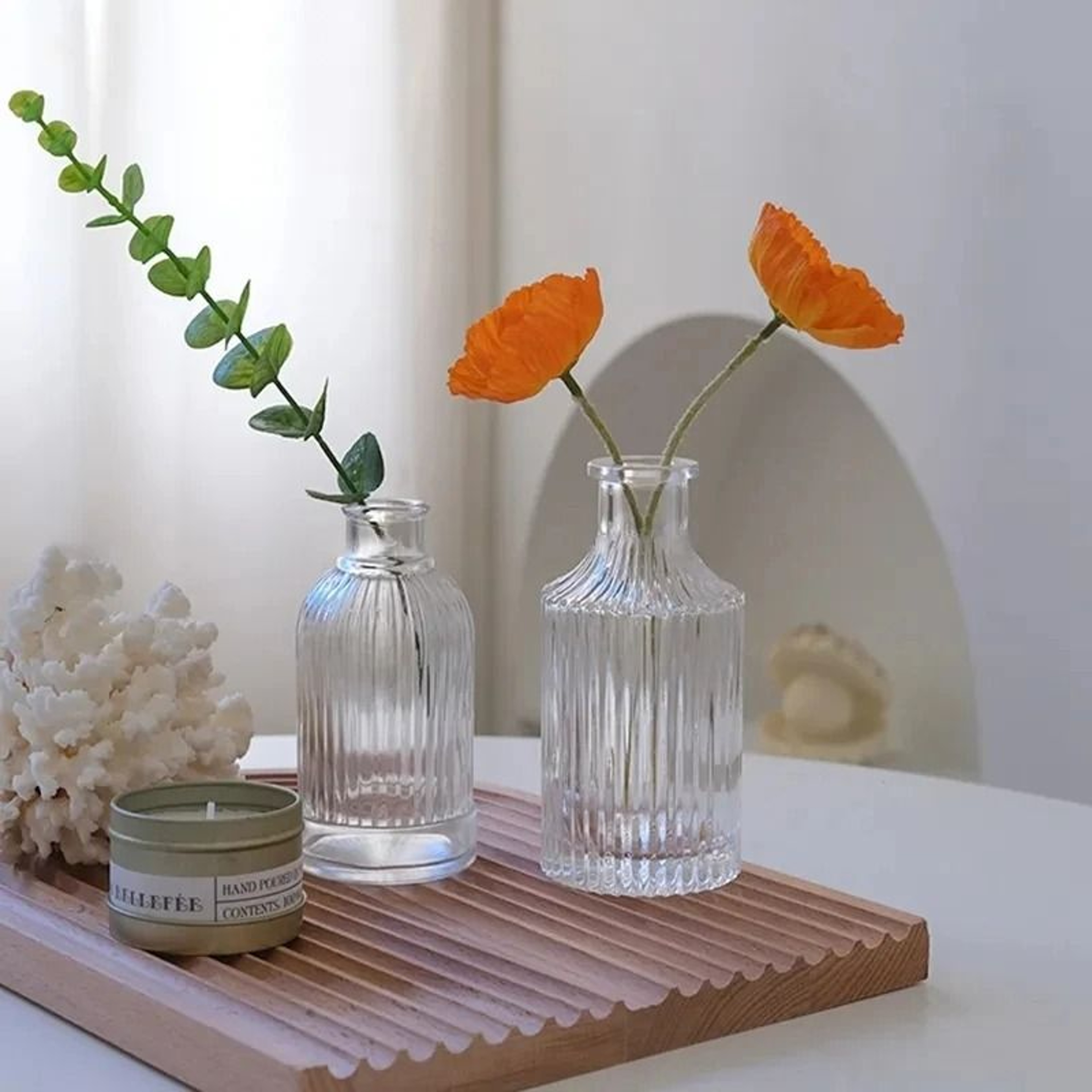 Nordic Creative Transparent Glass Hydroponic Terrarium 4