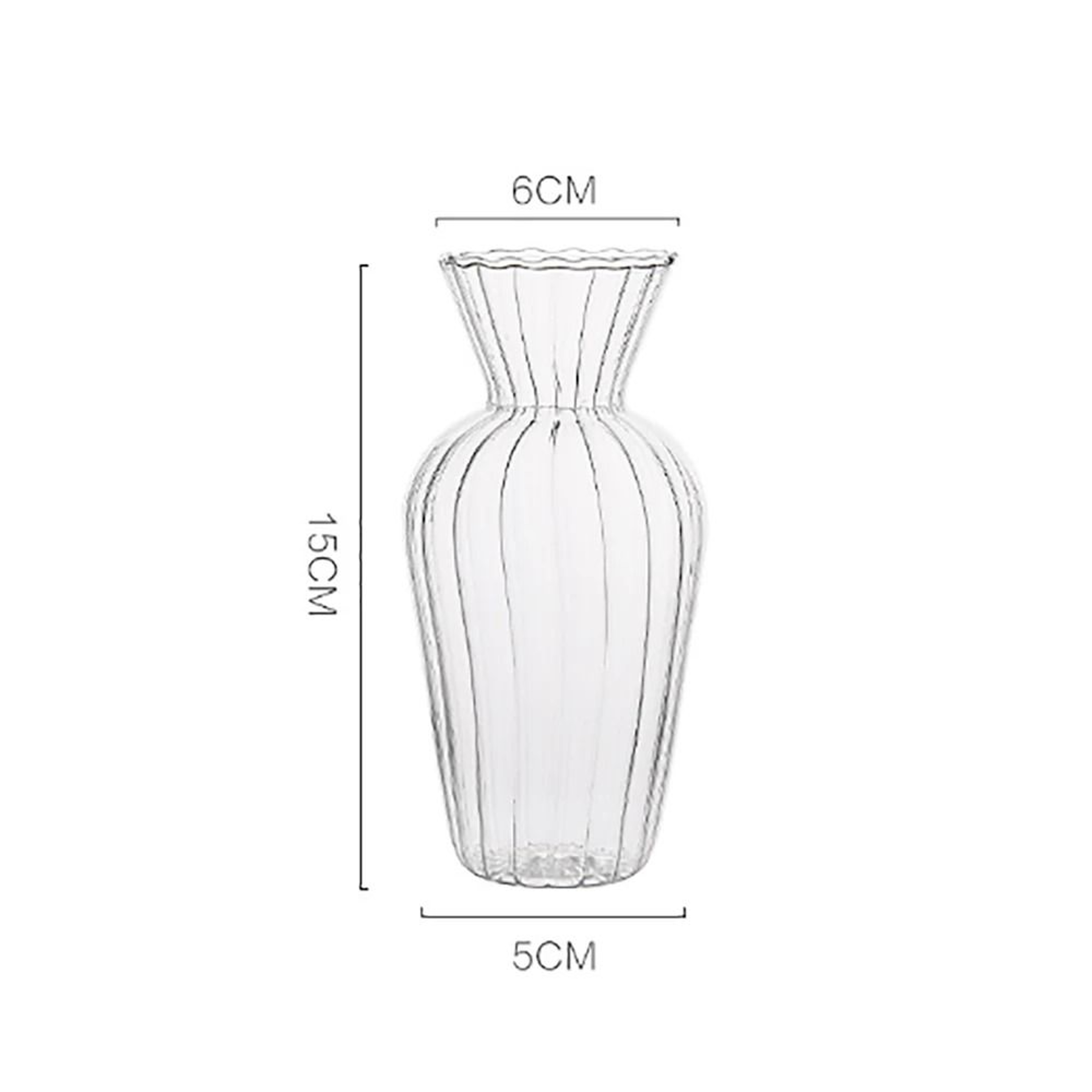 Nordic Creative Transparent Glass Hydroponic Terrarium 6