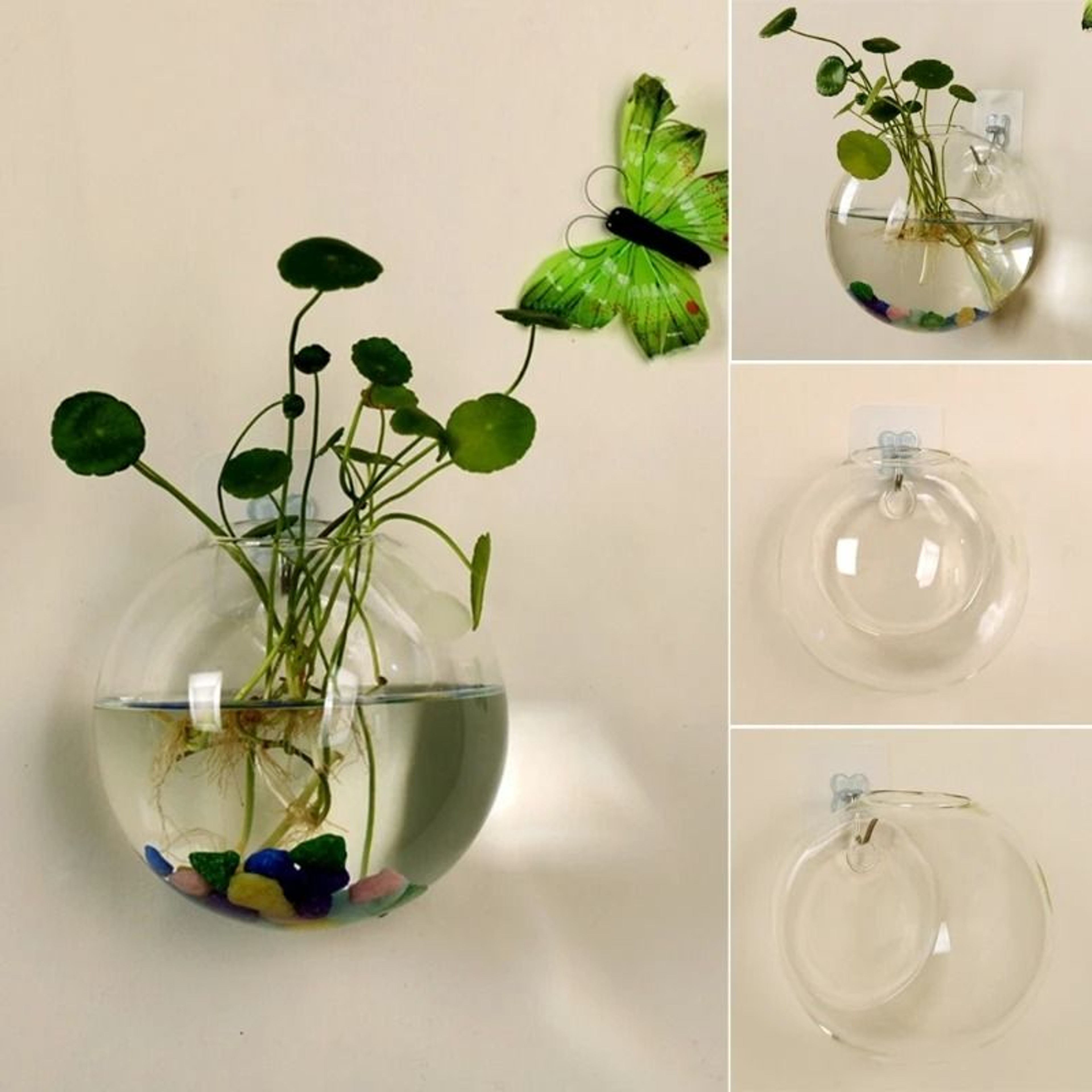 Wall Hanging Glass Hydroponic Terrarium And Fish Tank 0